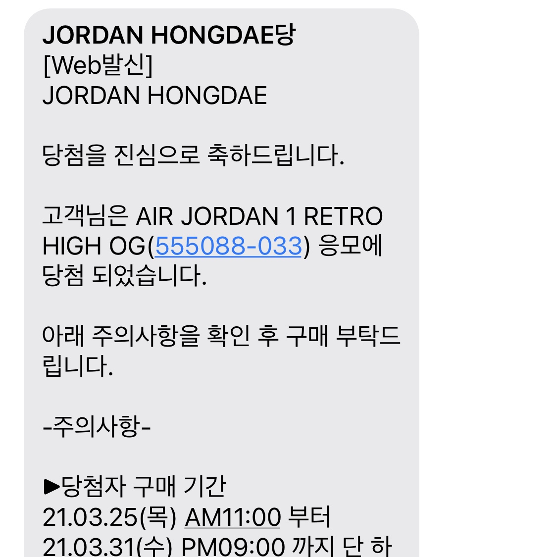 Jordan 1 Retro High OG Rust Shadow 착용 스타일