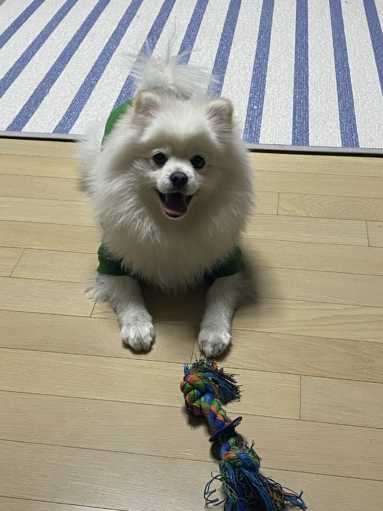 관심 유저 프로필 이미지