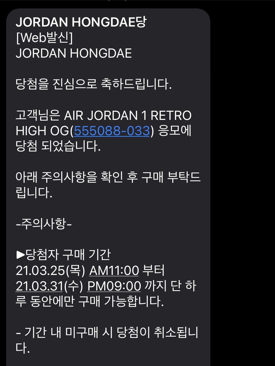 Jordan 1 Retro High OG Rust Shadow 착용 스타일