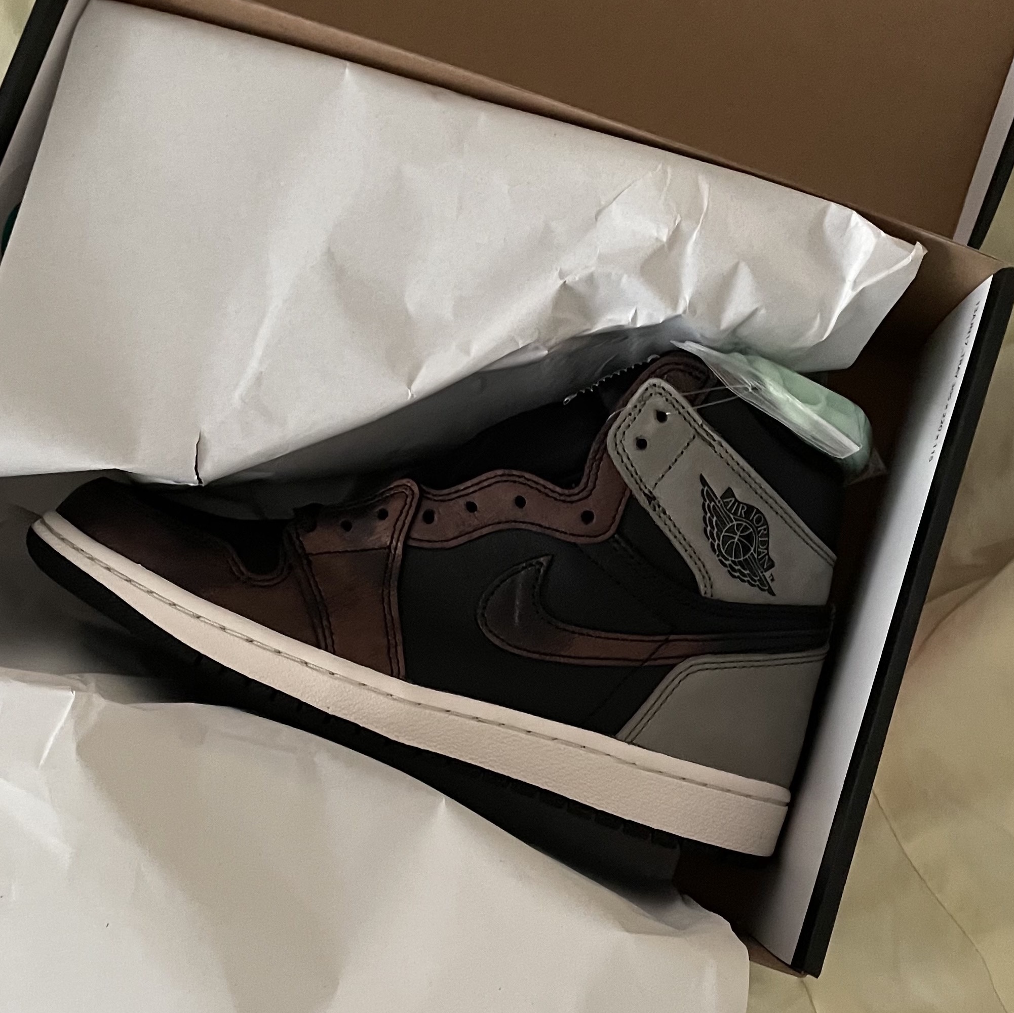 Jordan 1 Retro High OG Rust Shadow 착용 스타일