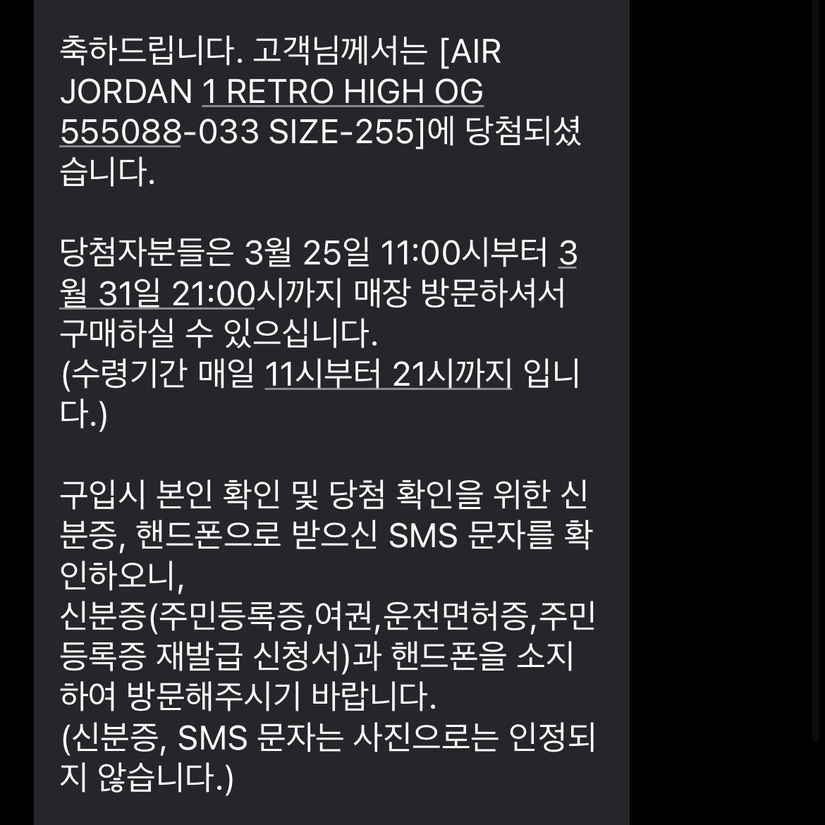 Jordan 1 Retro High OG Rust Shadow 착용 스타일
