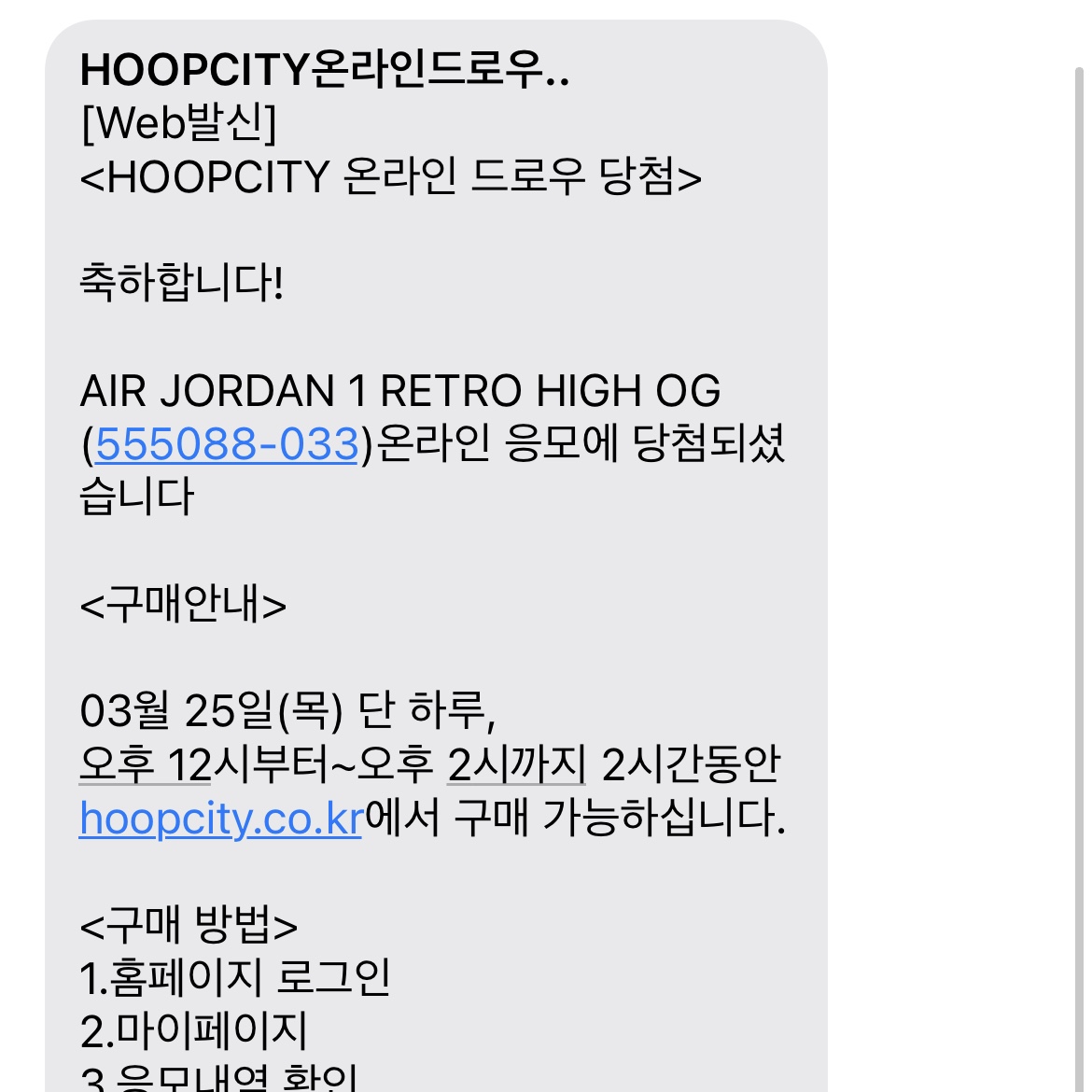 Jordan 1 Retro High OG Rust Shadow 착용 스타일