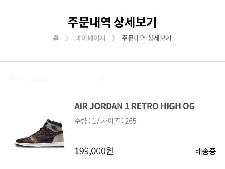 Jordan 1 Retro High OG Rust Shadow, Asics x Andersson Bell Gel-1090 Glacier Grey Silver 착용 스타일 - 1