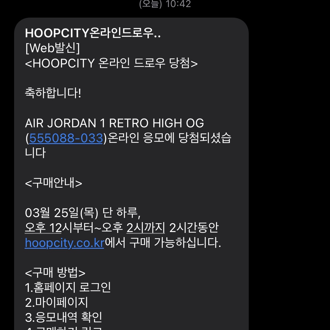 Jordan 1 Retro High OG Rust Shadow 착용 스타일