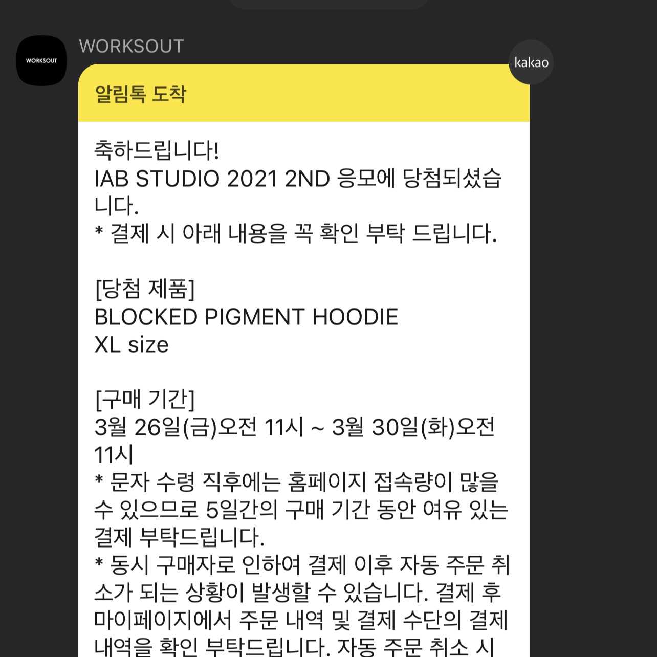 IAB Studio Blocked Pigment Hoodie Black, Adidas Yeezy 700 V3 Kyanite 착용 스타일 - 1
