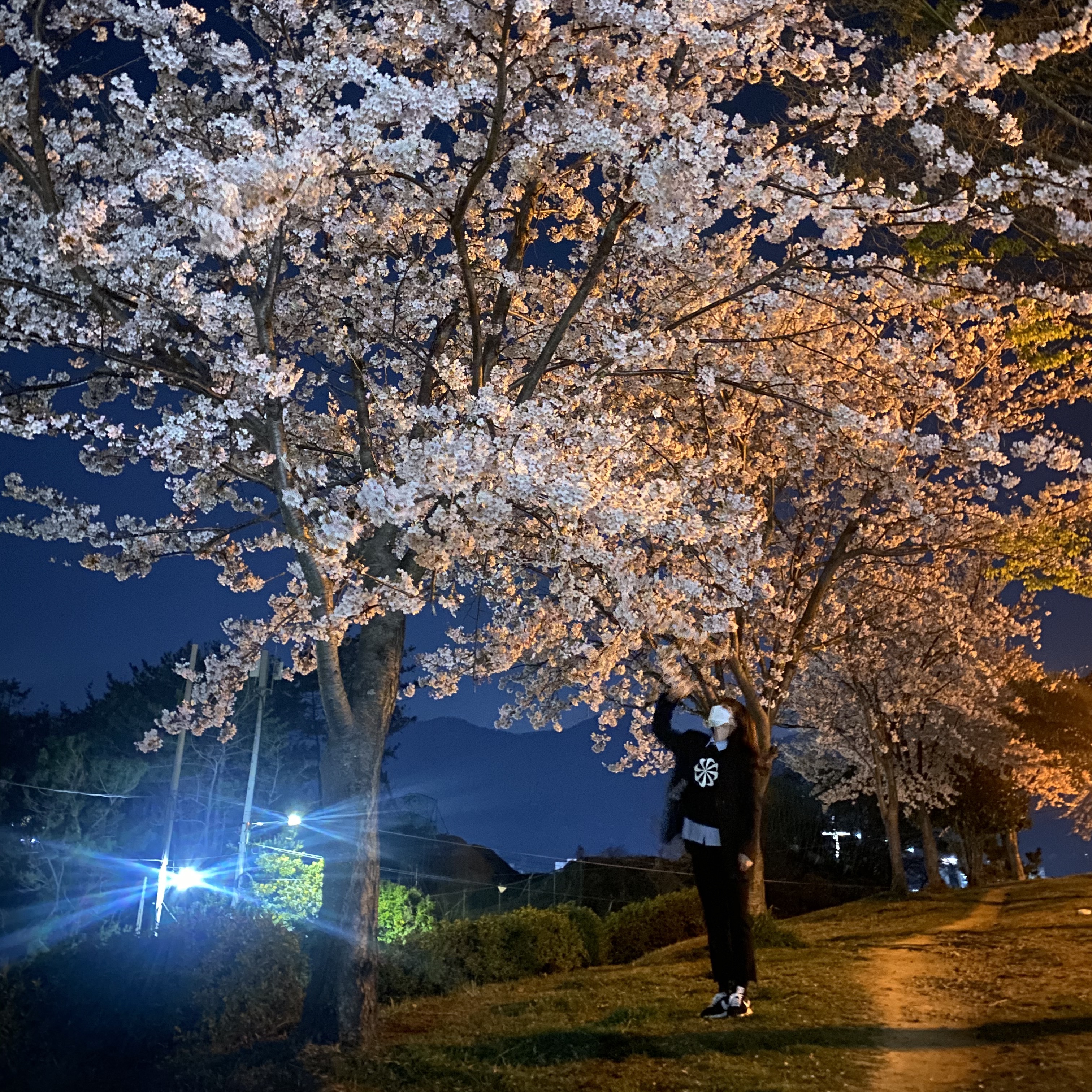 💚디랩쇼룸:또바기님의 스타일 - 3
