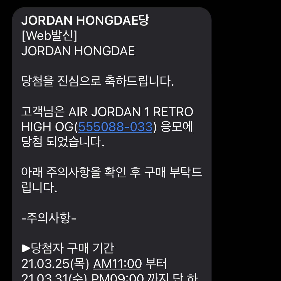 Jordan 1 Retro High OG Rust Shadow 착용 스타일