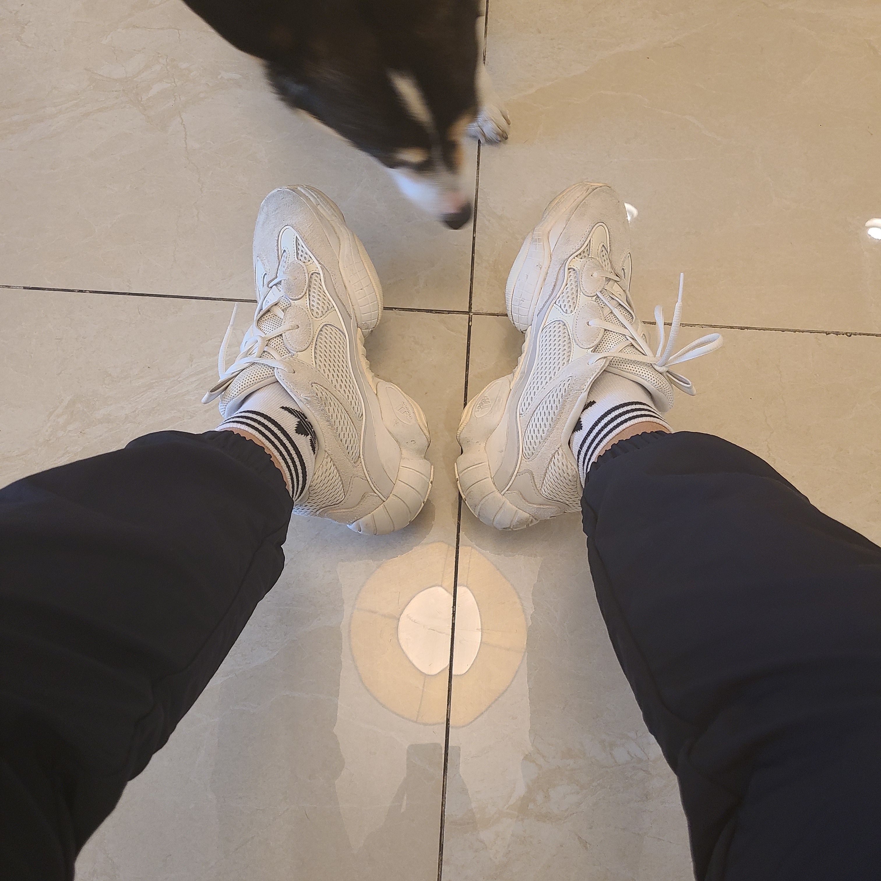 Adidas Yeezy 500 Bone White 착용 스타일