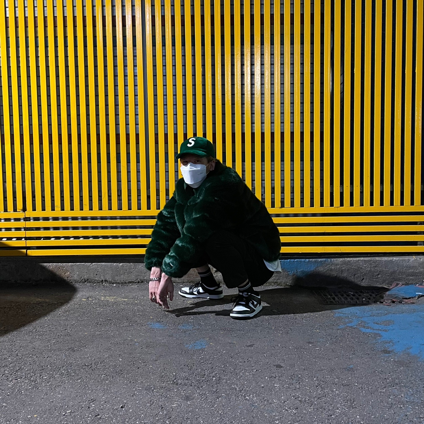 Nike Dunk Low Retro Black, Supreme x The North Face Faux Fur Nuptse Jacket Green - 20FW 착용 스타일