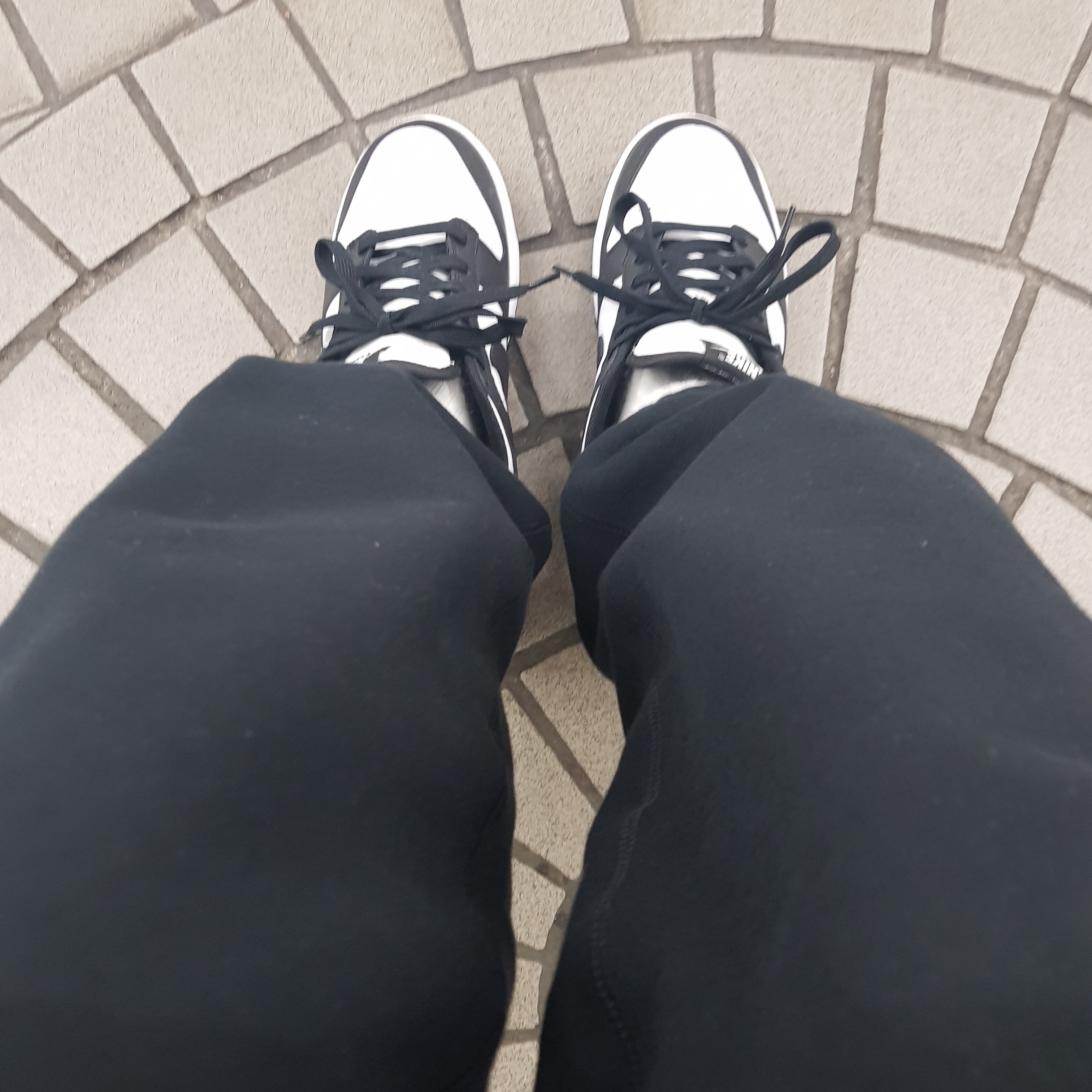 Nike Dunk Low Retro Black, Nike x Stussy NRG ZR Fleece Pants Black - US/EU 착용 스타일