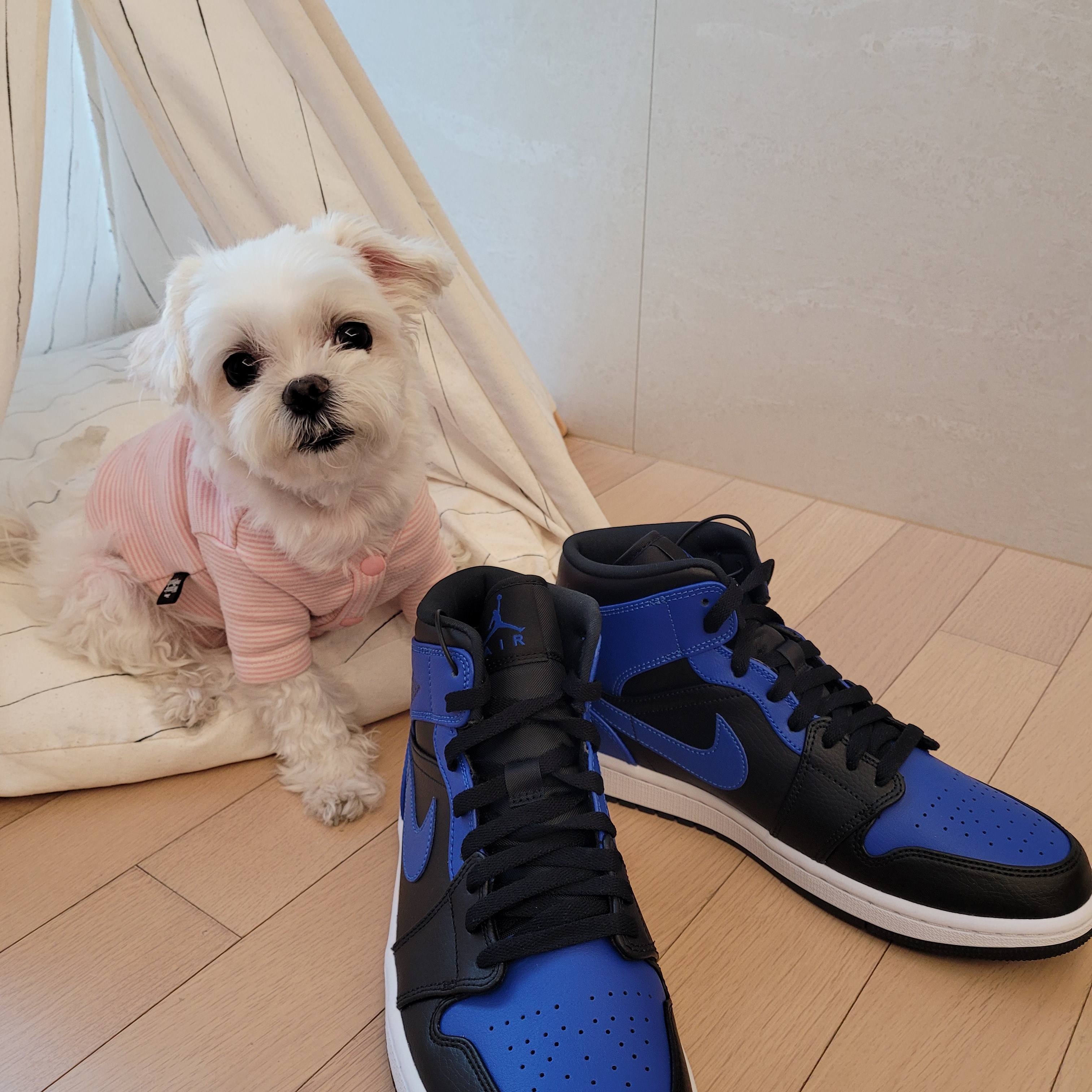 Jordan 1 Mid Black Hyper Royal 착용 스타일 - 2