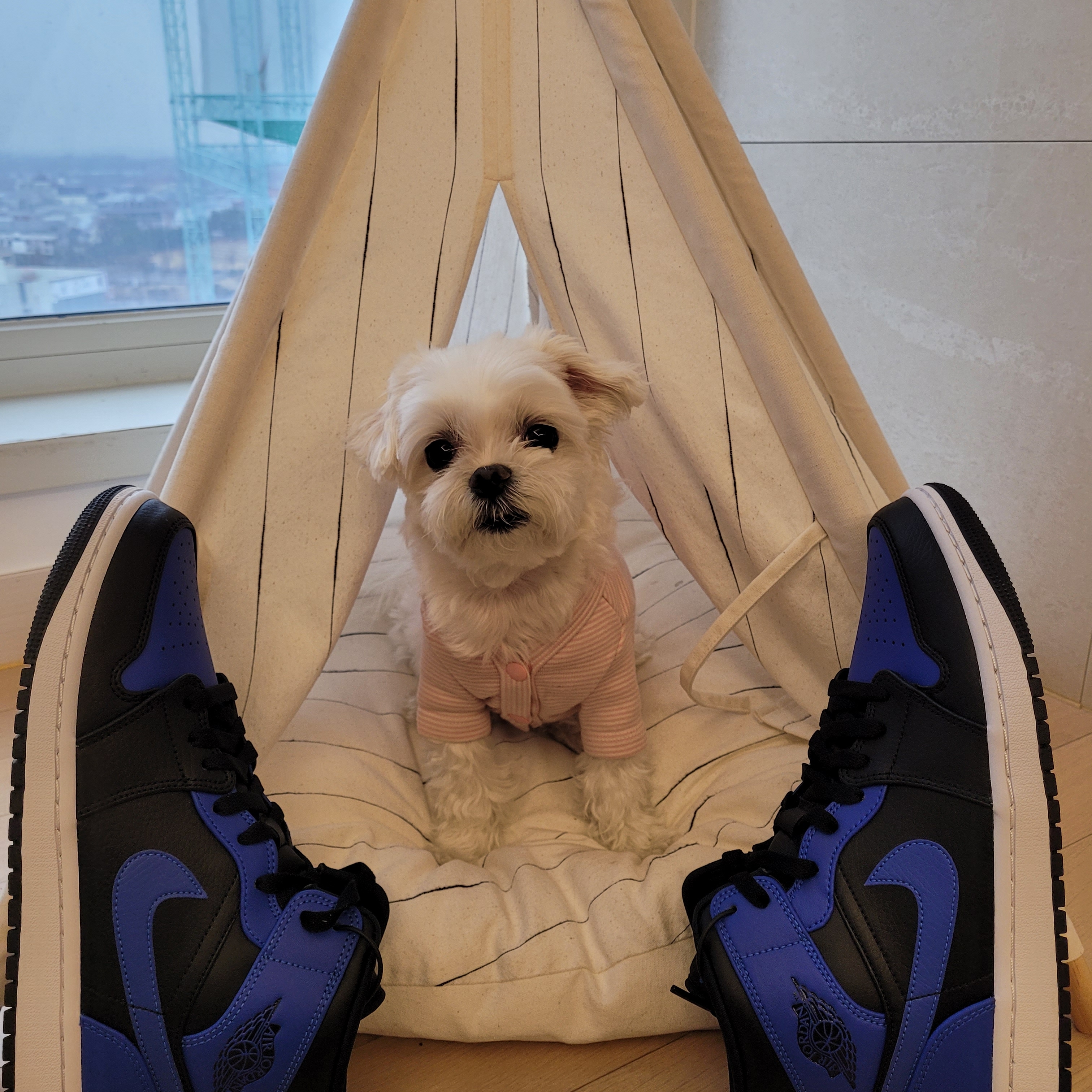 Jordan 1 Mid Black Hyper Royal 착용 스타일 - 1