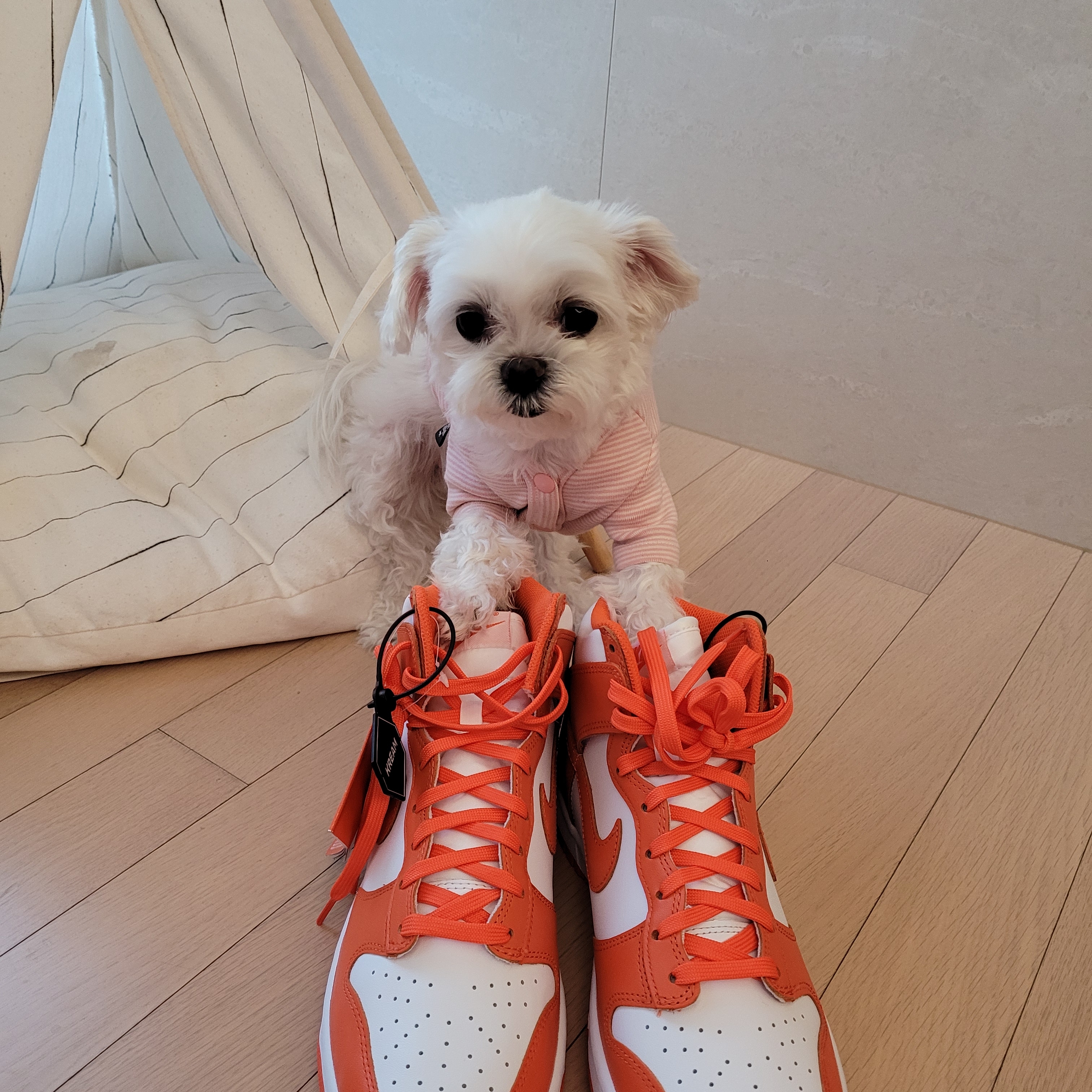 Nike Dunk High Retro Orange Blaze 착용 스타일 - 1