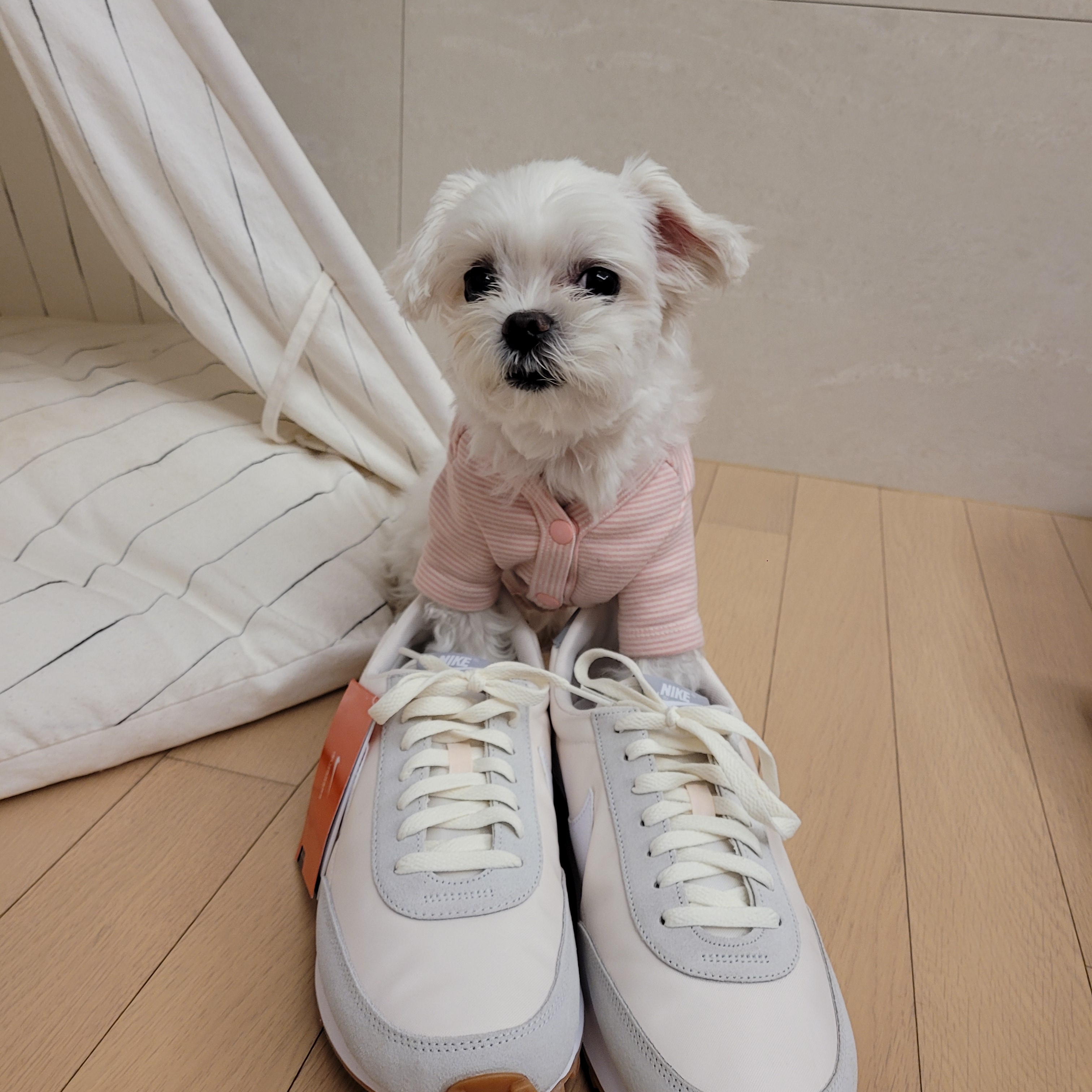 (W) Nike Daybreak Summit White 착용 스타일 - 2
