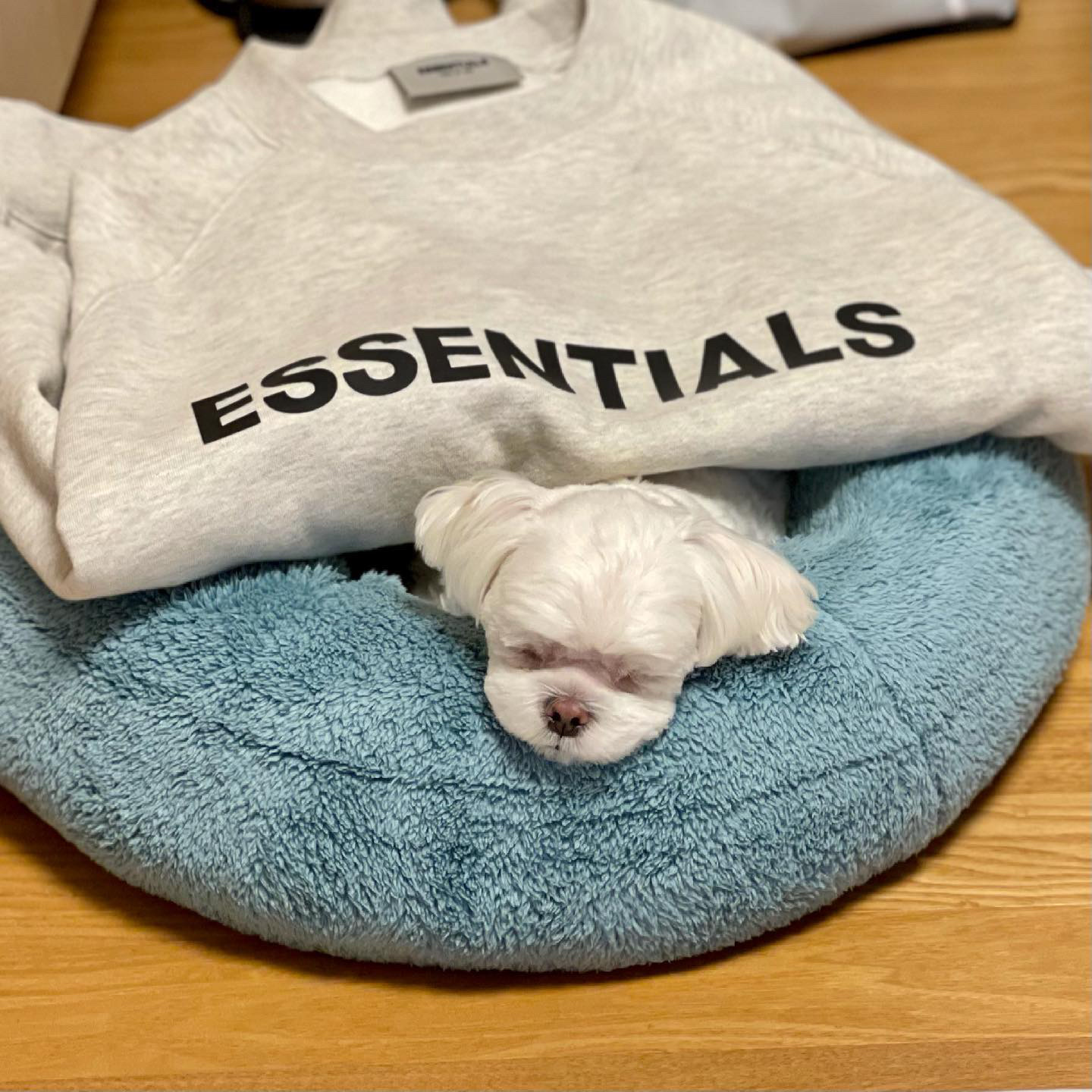 Essentials 3D Silicon Applique Crewneck Oatmeal/Oatmeal Heather/Light Heather Oatmeal 2020 착용 스타일 - 2
