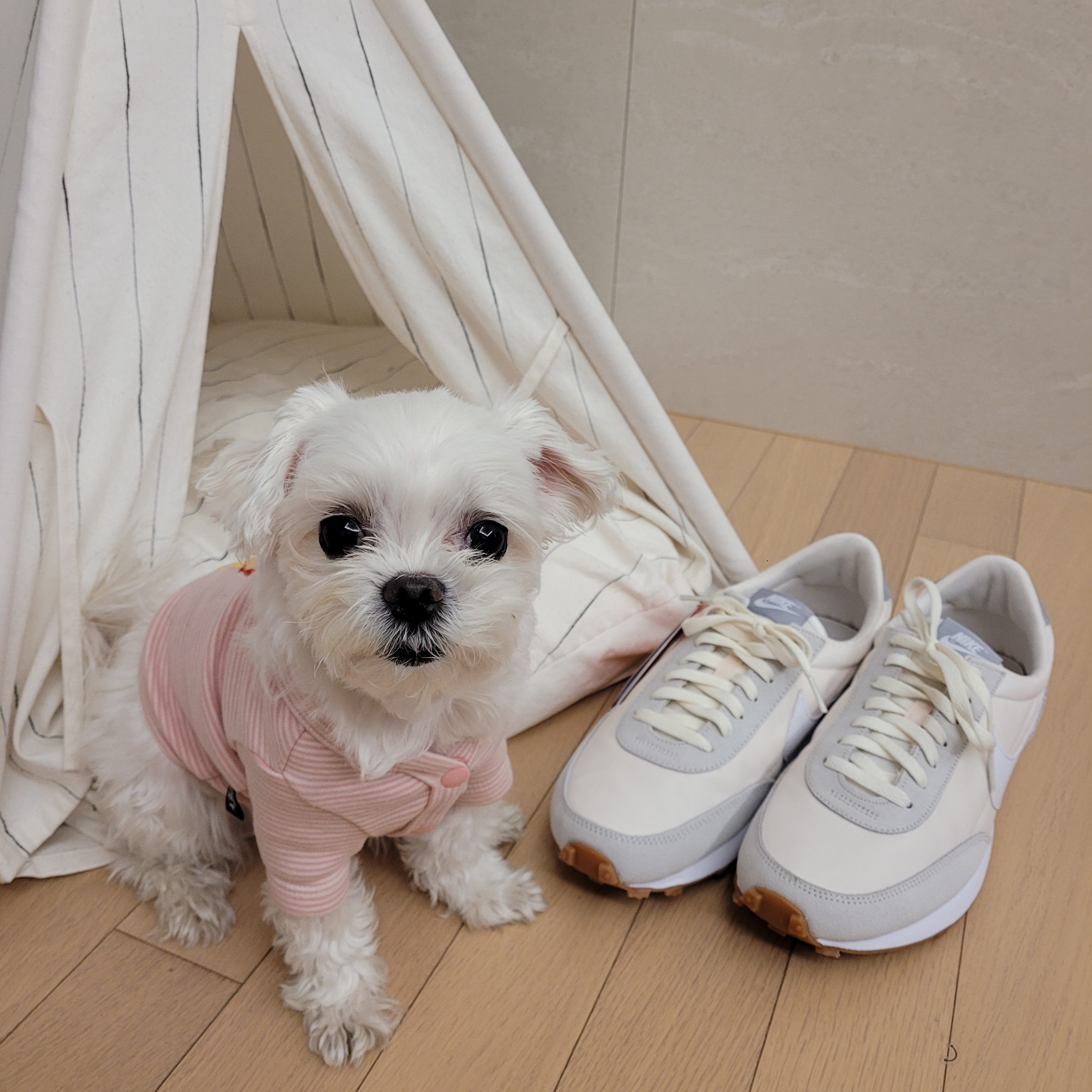 (W) Nike Daybreak Summit White 착용 스타일 - 1