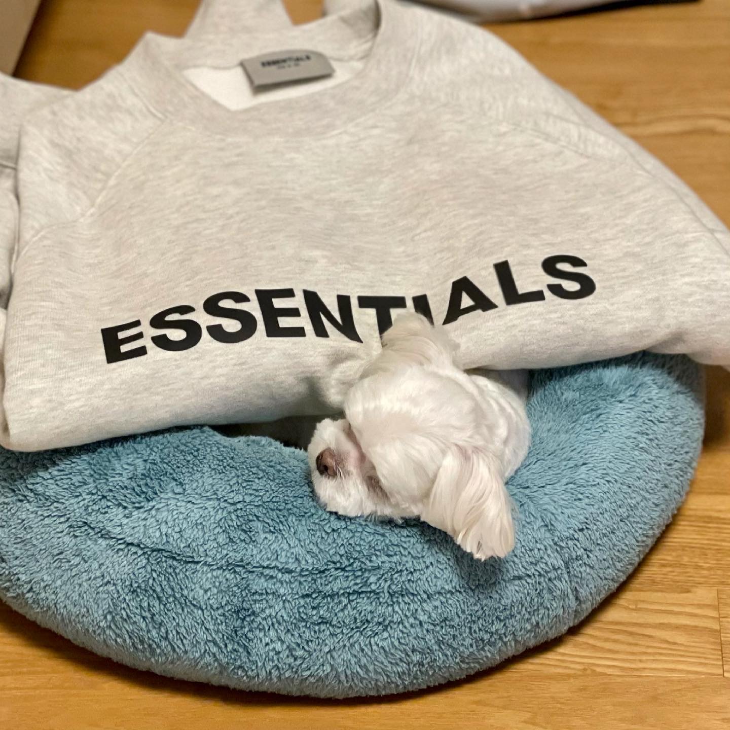 Essentials 3D Silicon Applique Crewneck Oatmeal/Oatmeal Heather/Light Heather Oatmeal 2020 착용 스타일 - 1