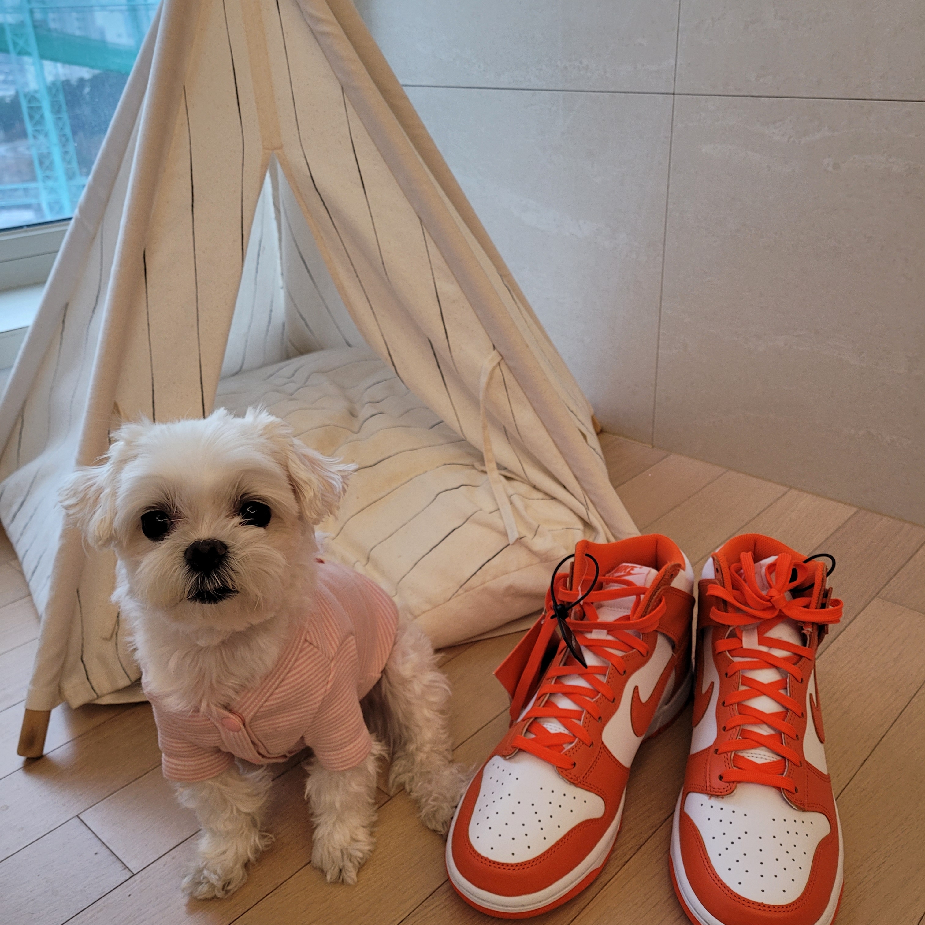 Nike Dunk High Retro Orange Blaze 착용 스타일 - 2