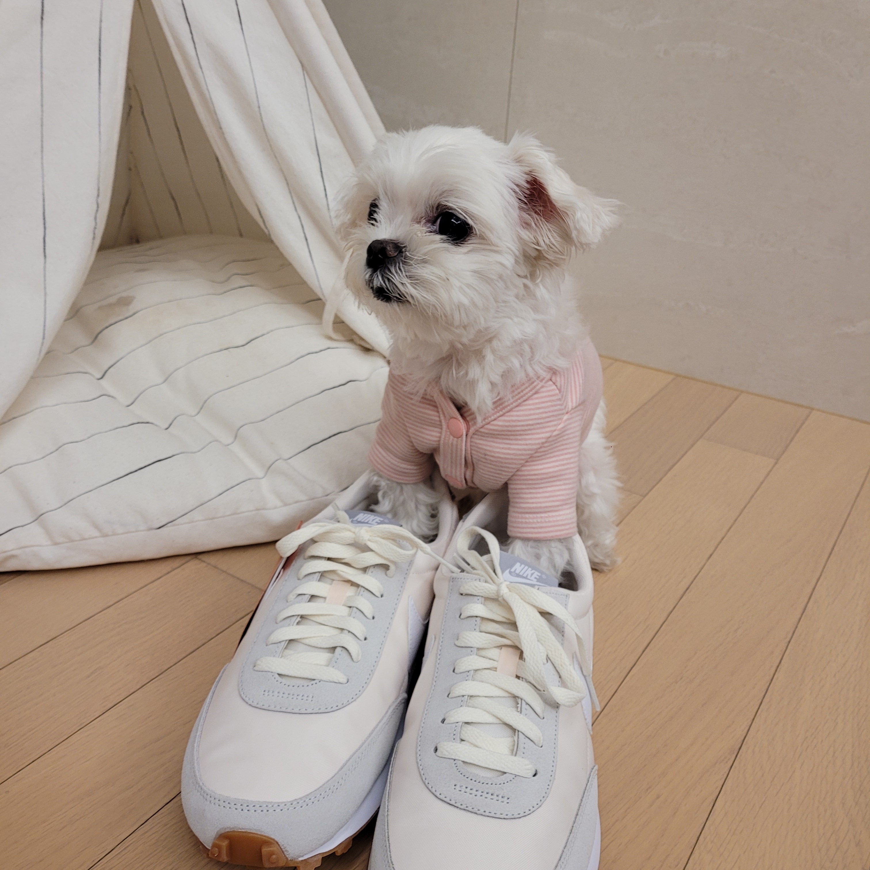 (W) Nike Daybreak Summit White 착용 스타일 - 3