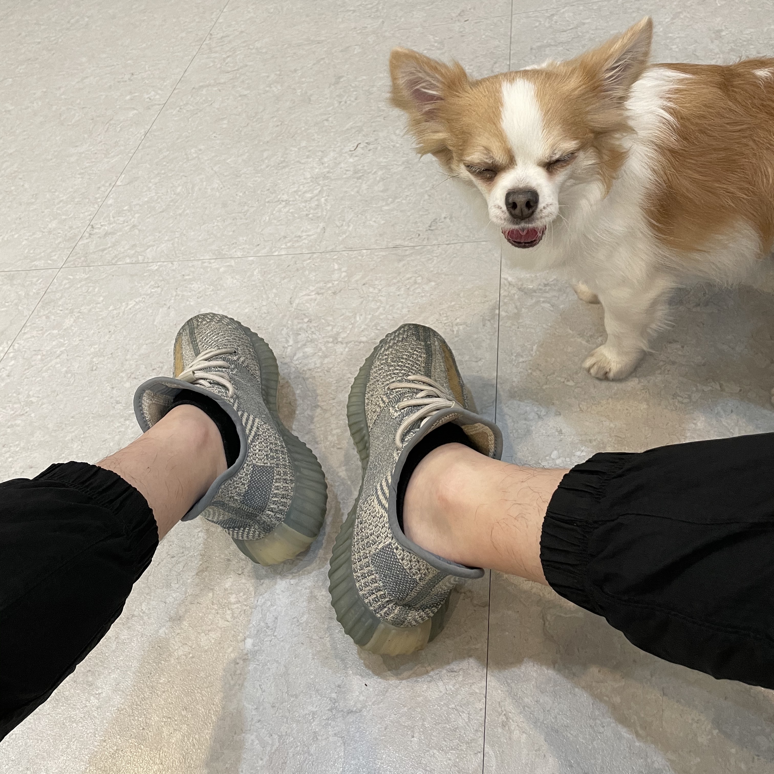 Adidas Yeezy Boost 350 V2 Israfil 착용 스타일