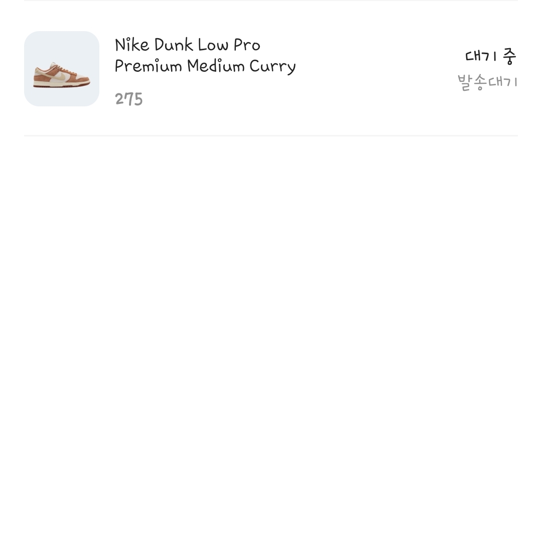 Nike Dunk Low Pro Premium Medium Curry 착용 스타일