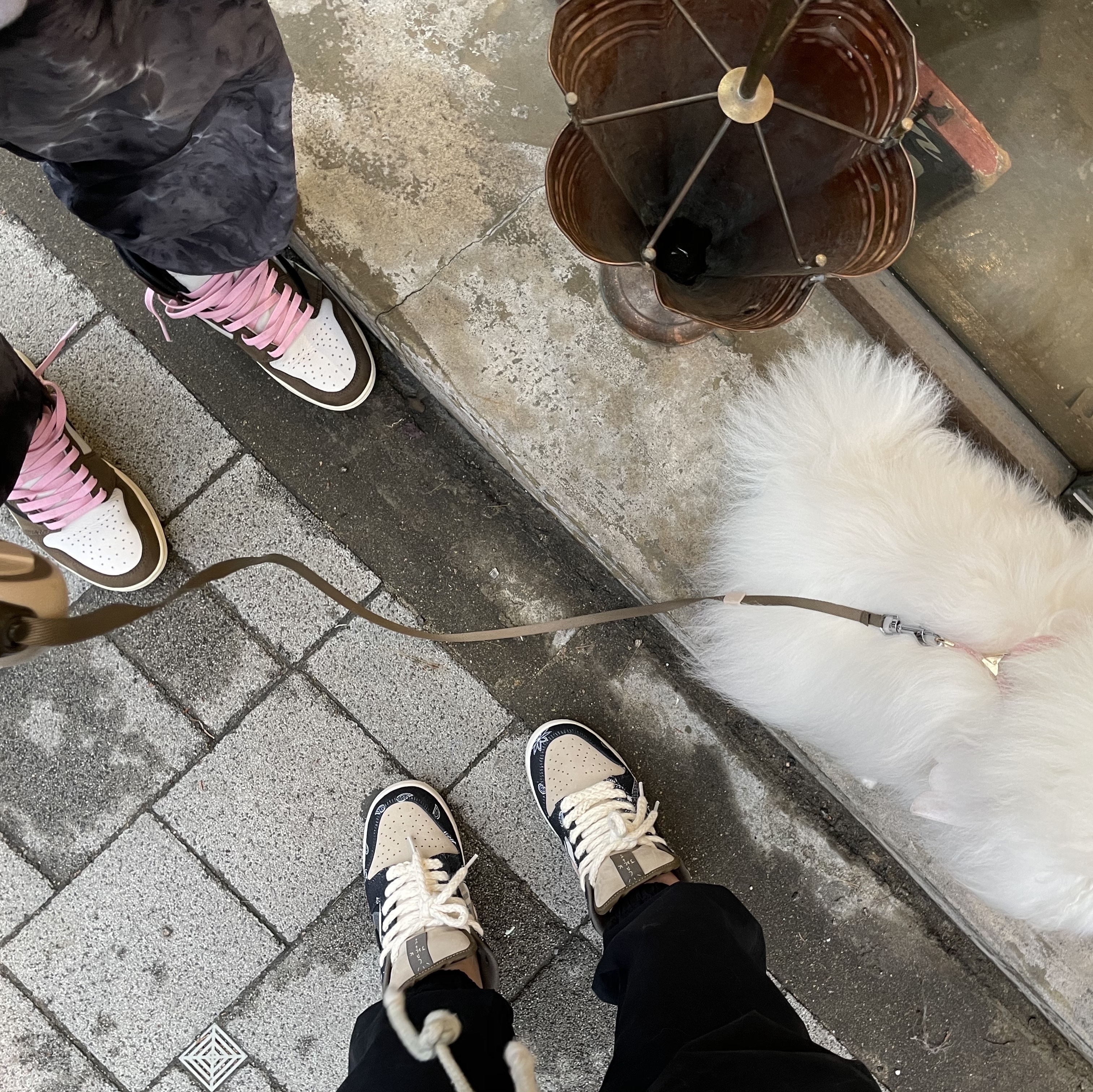 Nike x Travis Scott SB Dunk Low 착용 스타일