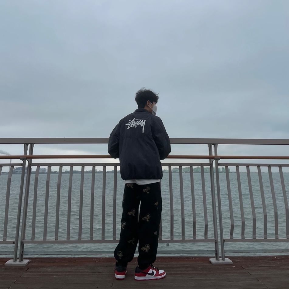 Nike SB Dunk Low Pro Chicago, Nike x Stussy Windrunner Jacket Off Noir 착용 스타일