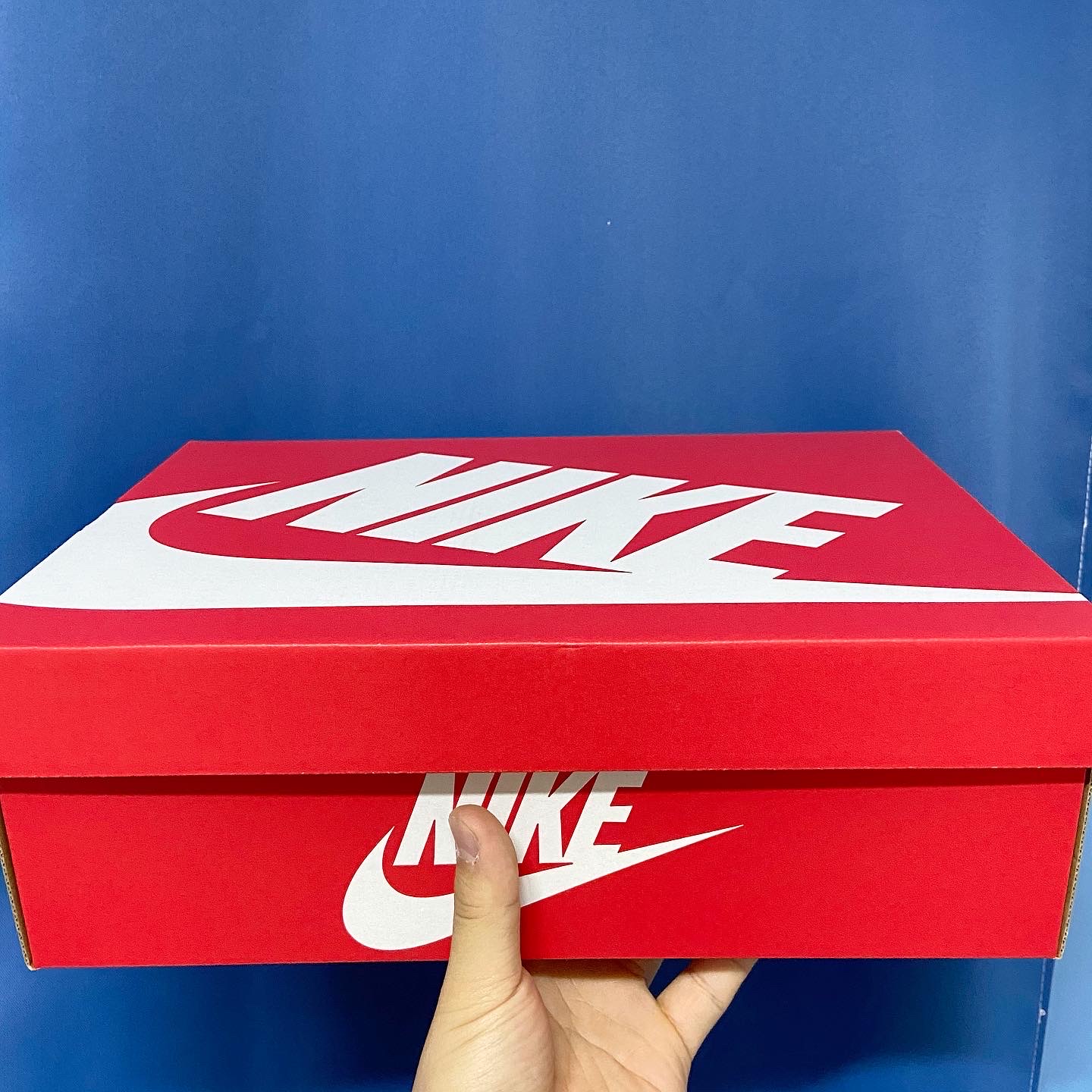 Nike Overbreak SP Fossil 착용 스타일 - 1
