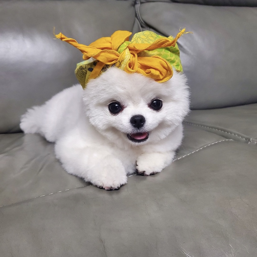 yyczz님의 스타일 - 1