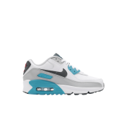 (GS) Nike Air Max 90 LTR White