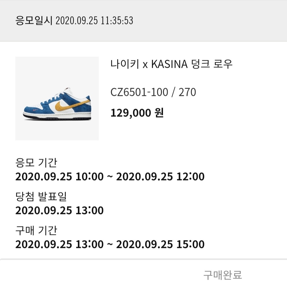Nike x Kasina Dunk Low 80's Bus 착용 스타일