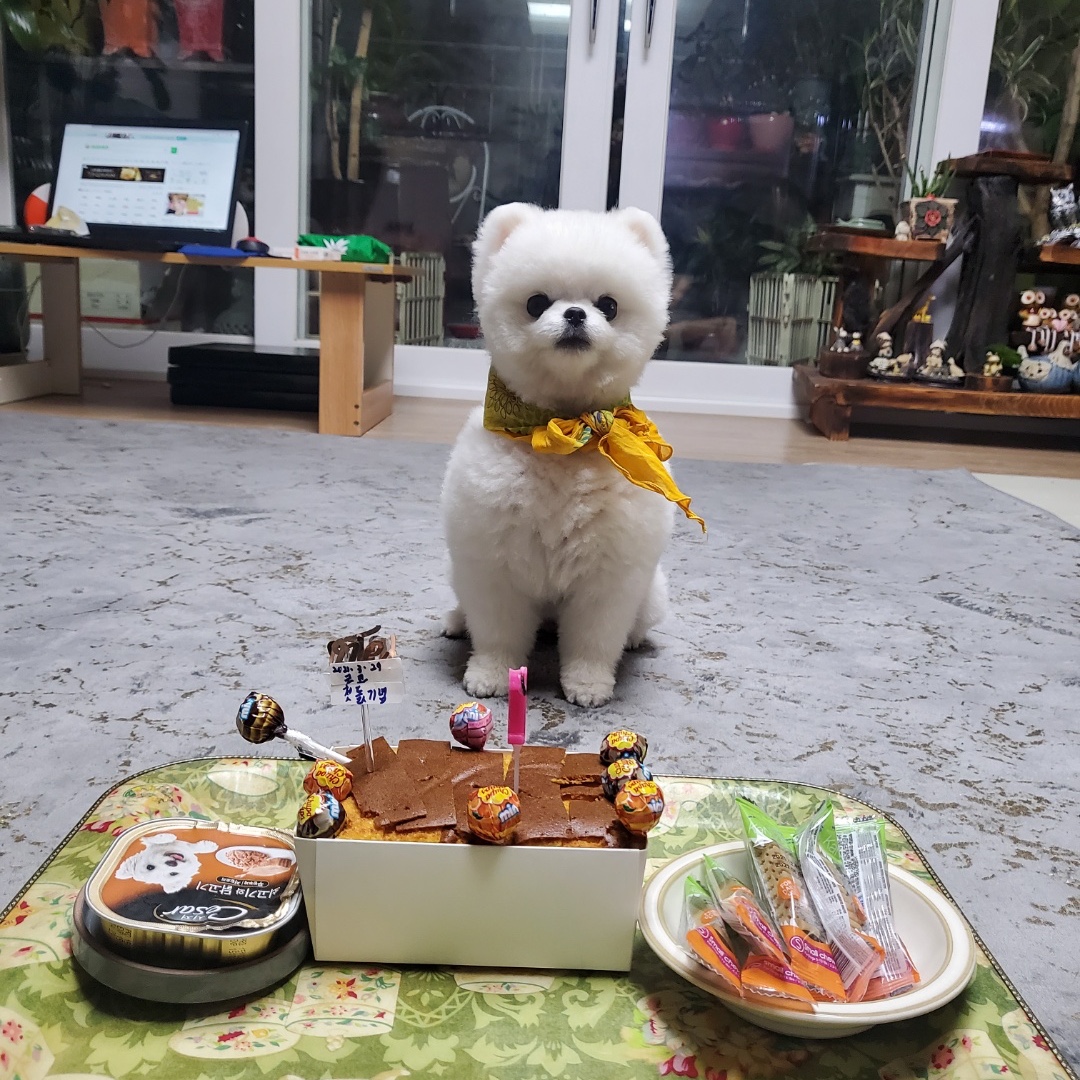 yyczz님의 스타일 - 2