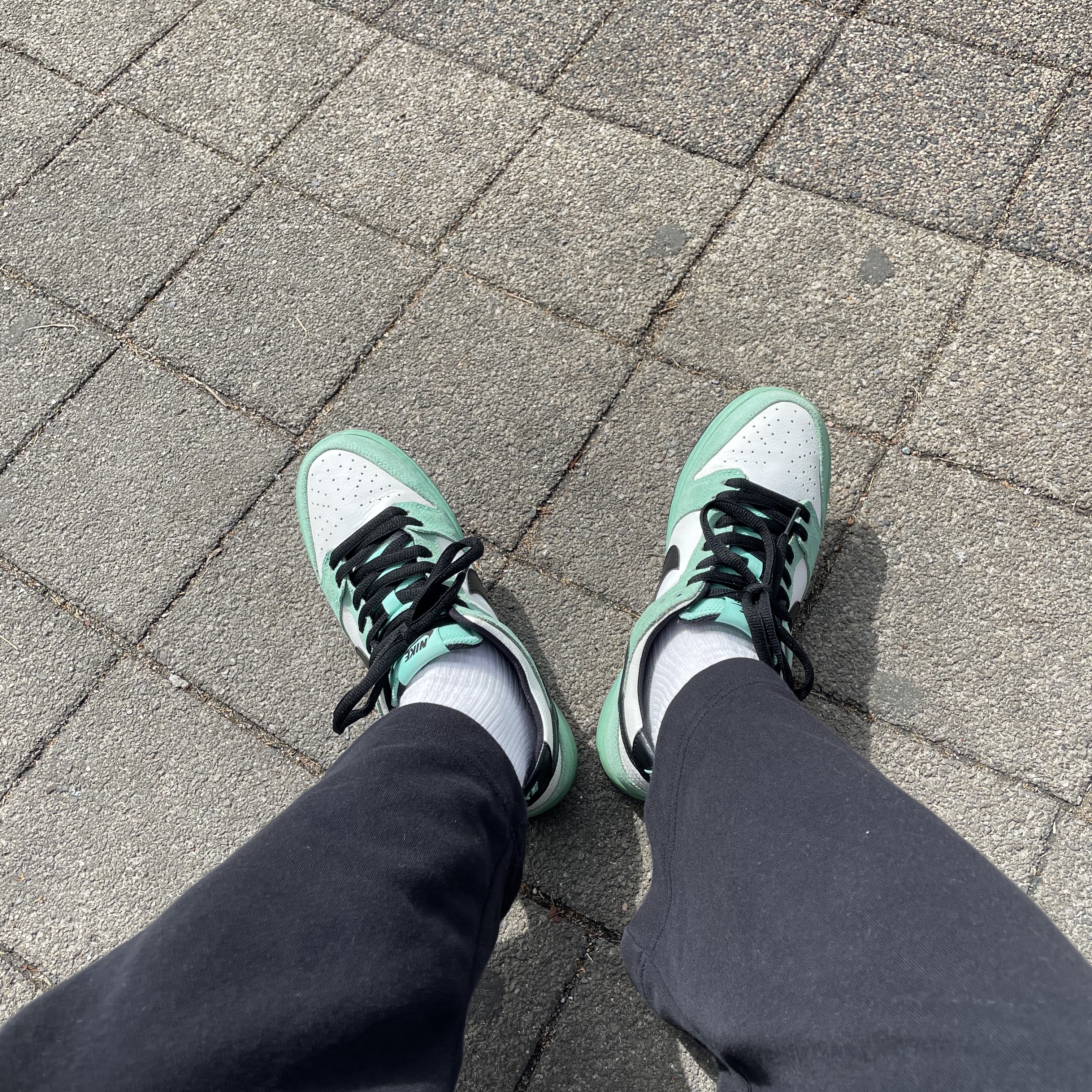Nike Dunk SB Low Sea Crystal 착용 스타일