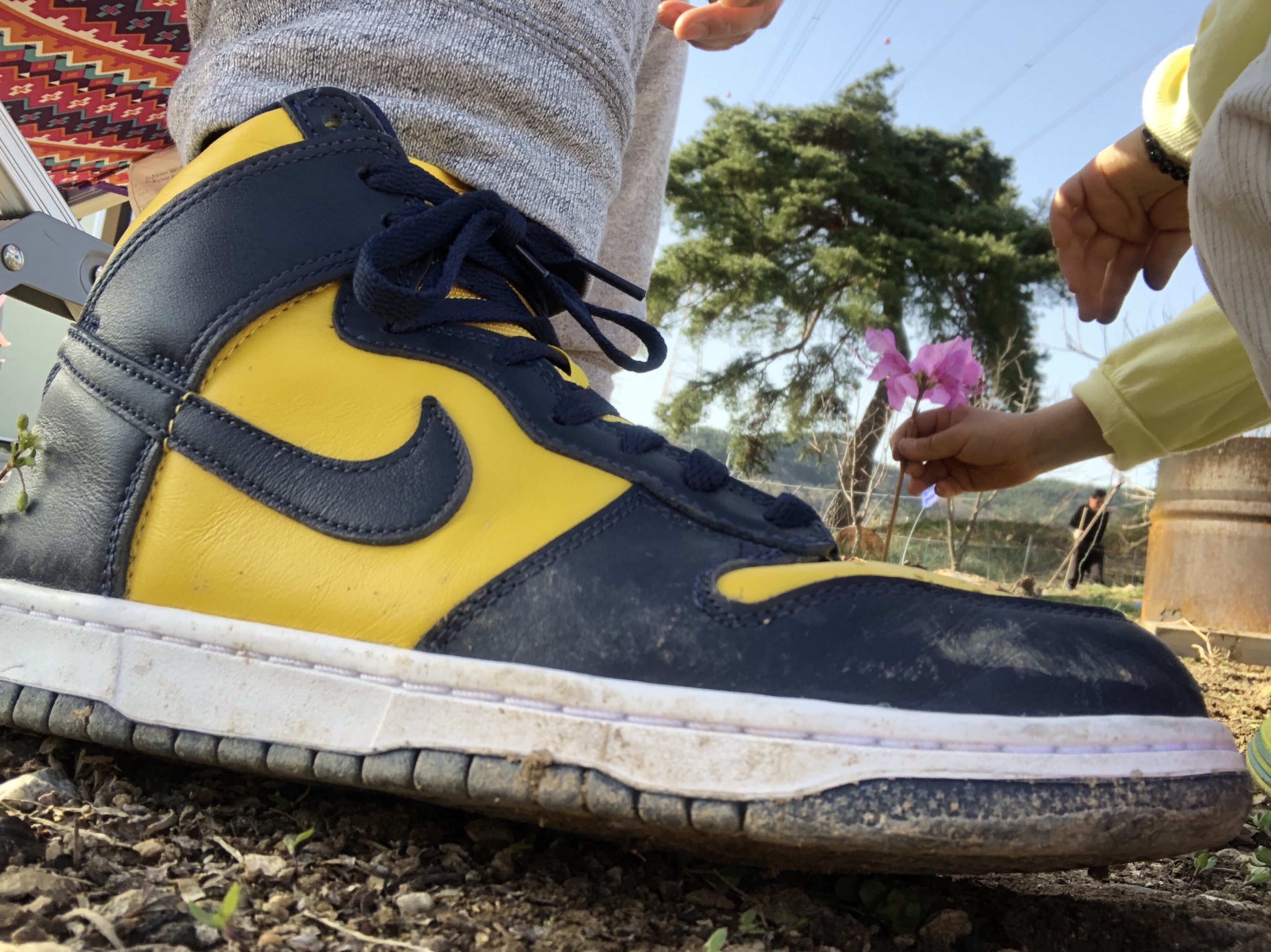 Nike Dunk High SP Maize & Blue 착용 스타일