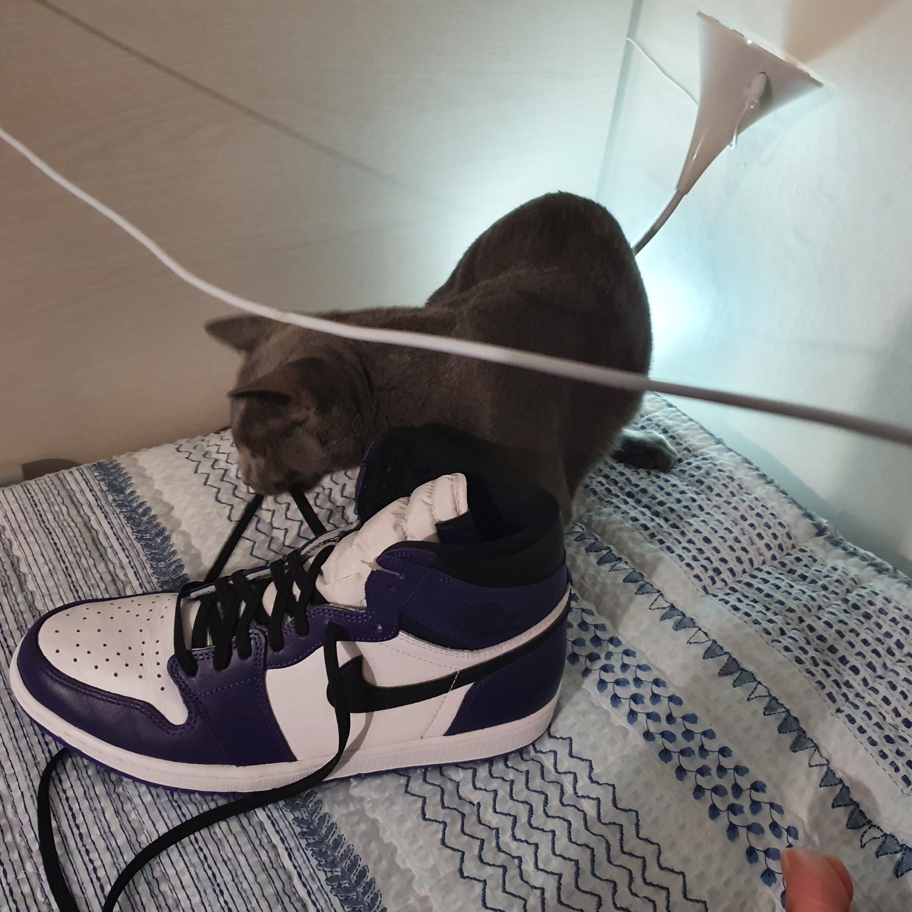 Jordan 1 Retro High OG Court Purple 2020 착용 스타일