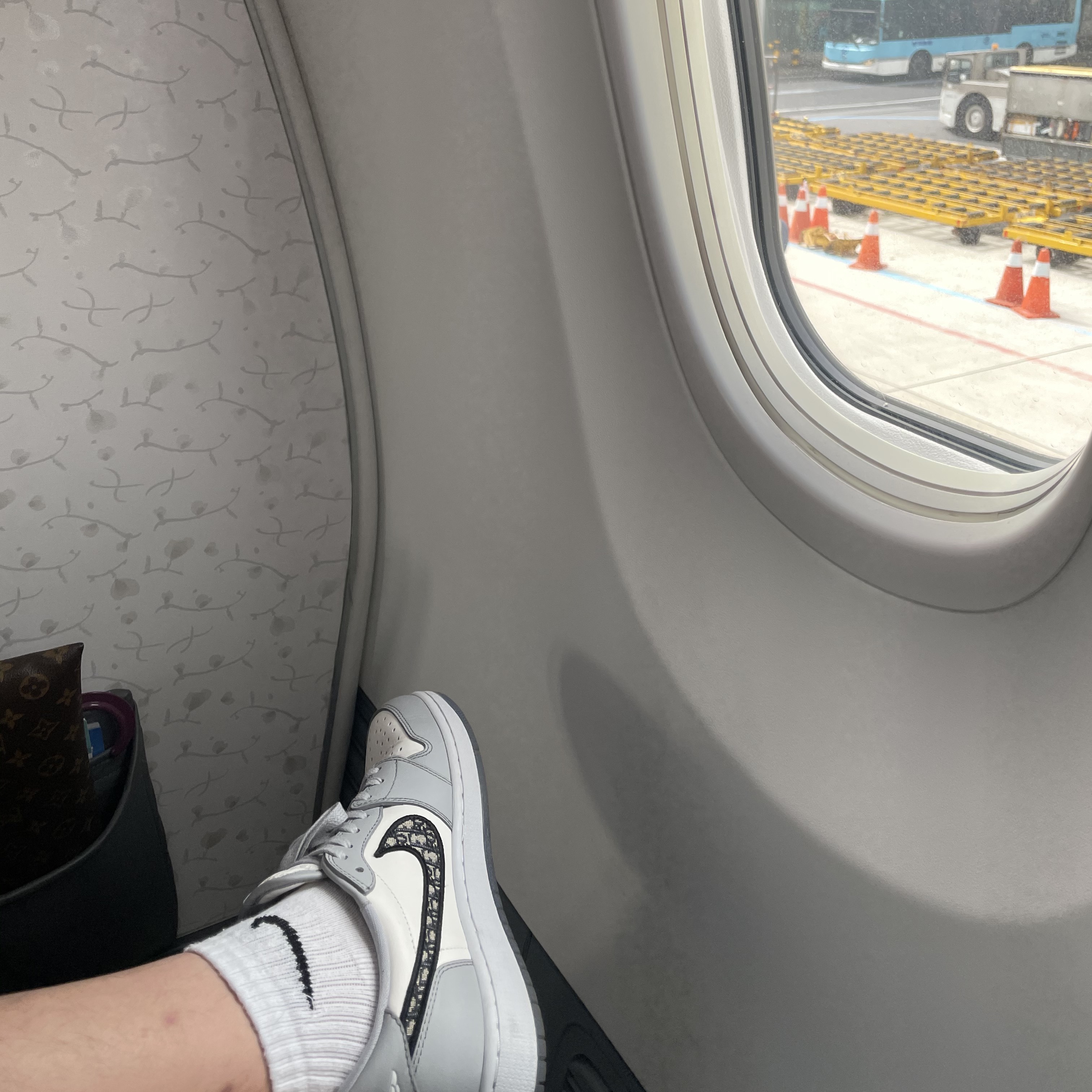 Jordan 1 x Dior Low OG 착용 스타일