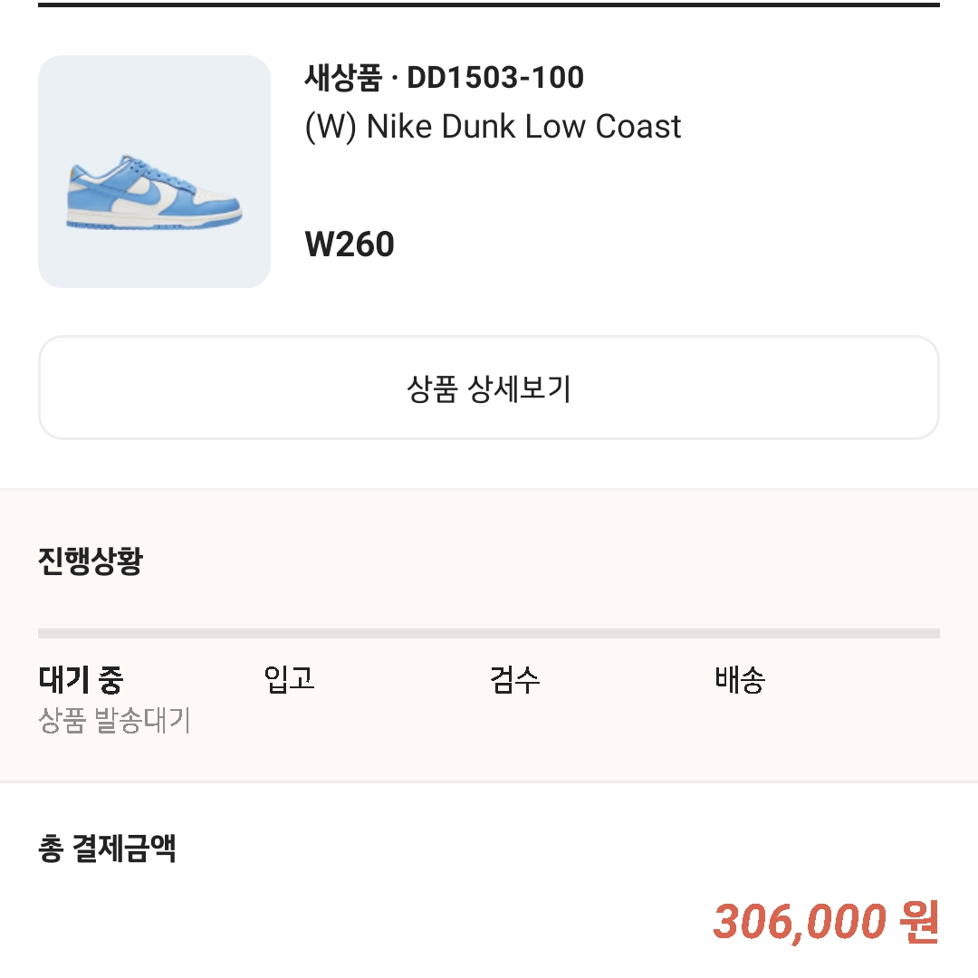 (W) Nike Dunk Low Coast 착용 스타일