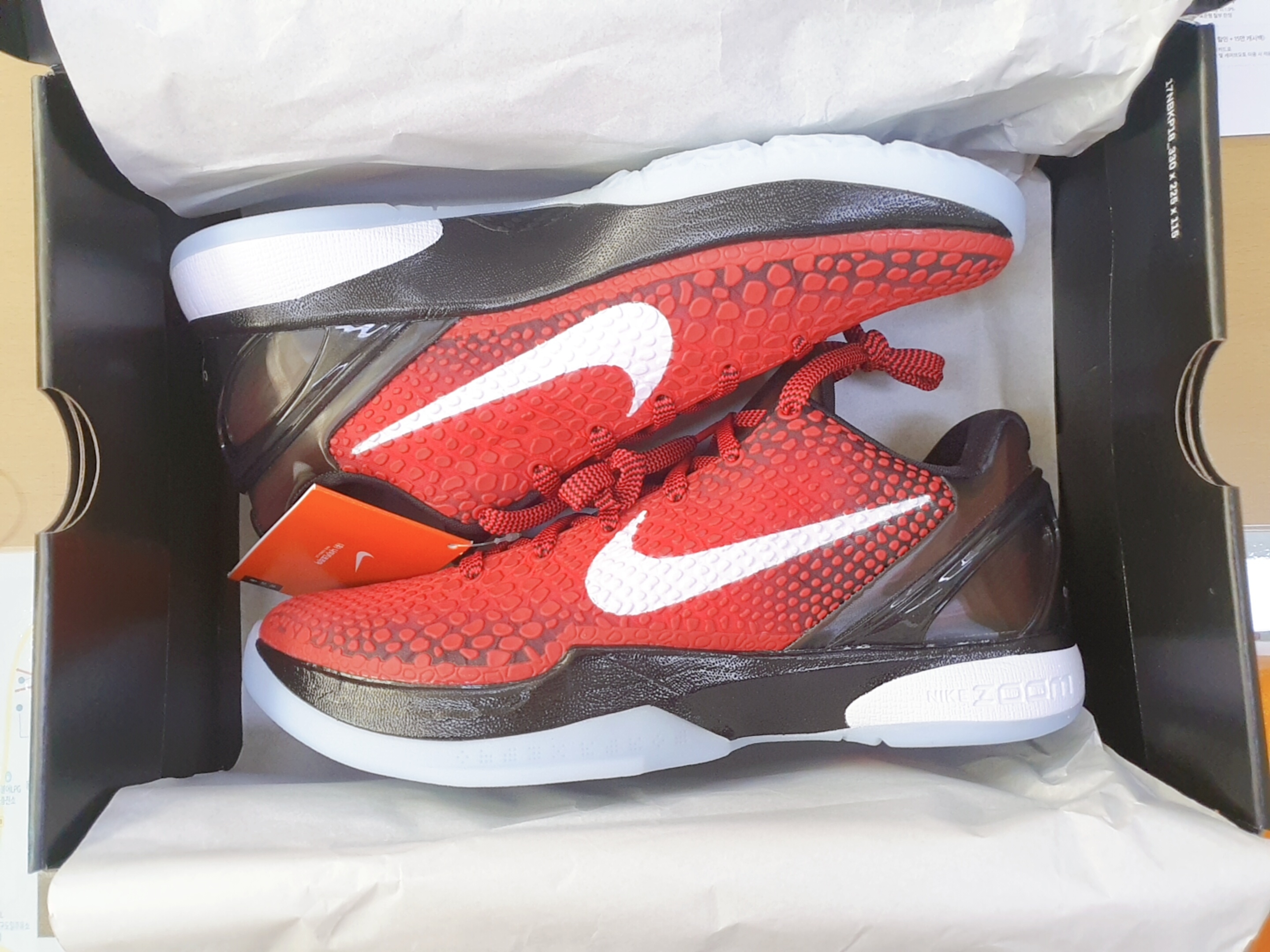 Nike Kobe 6 Protro All-Star 착용 스타일