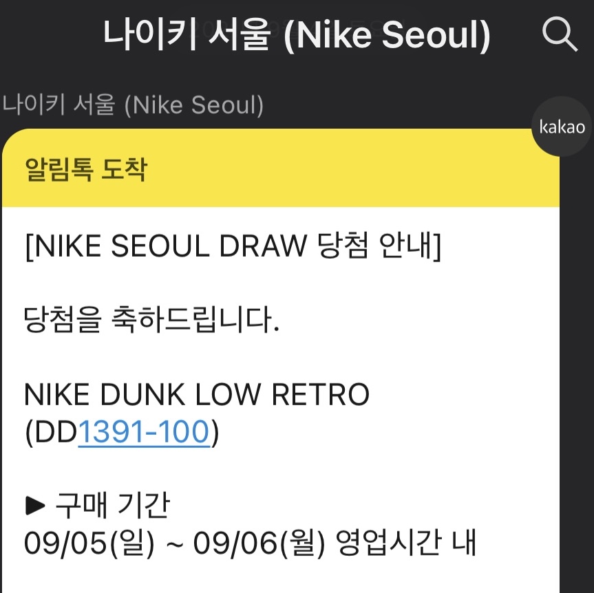 Nike Dunk Low Retro Black 착용 스타일 - 2
