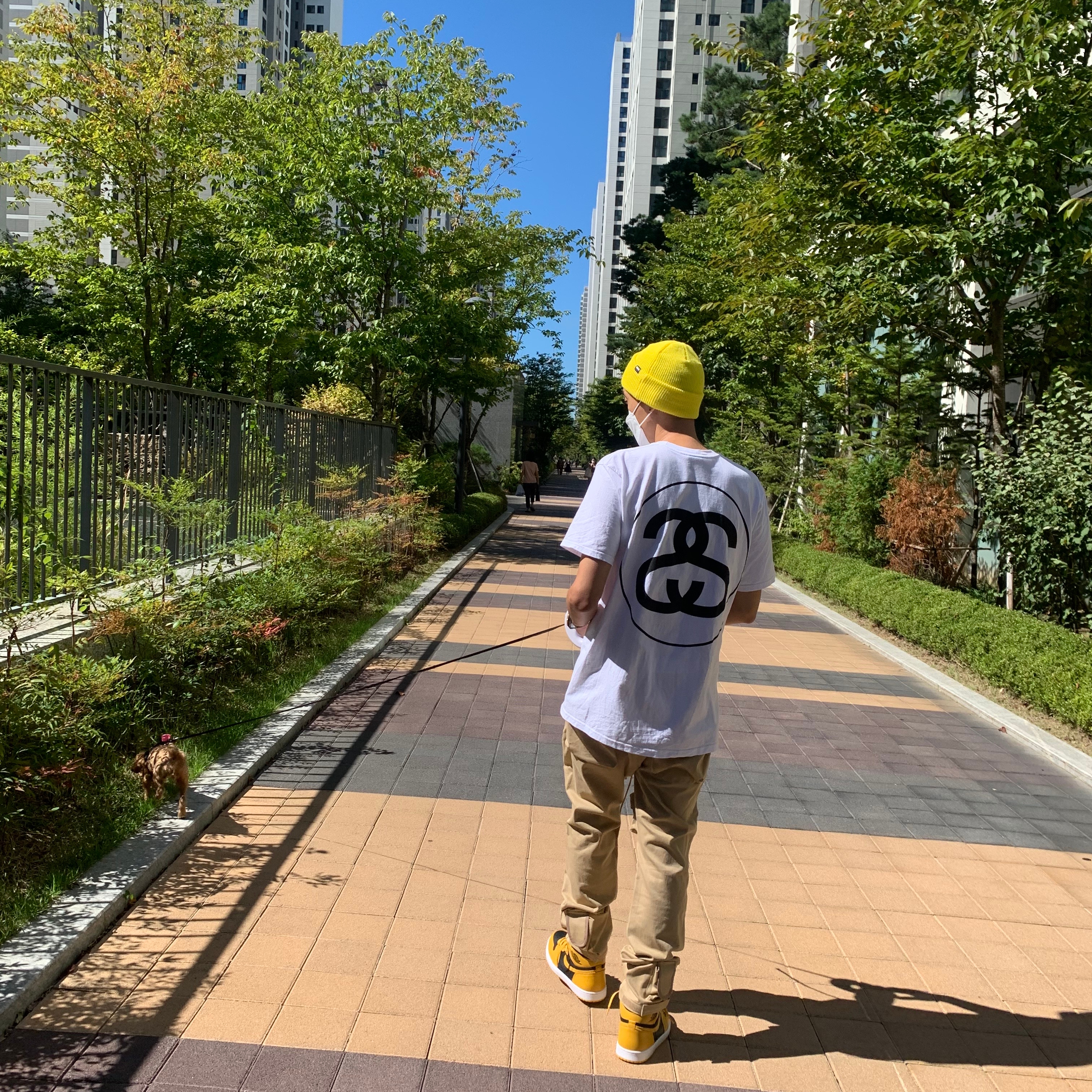 Jordan 1 Retro High OG Pollen, Stussy Big Link T-Shirt White 착용 스타일