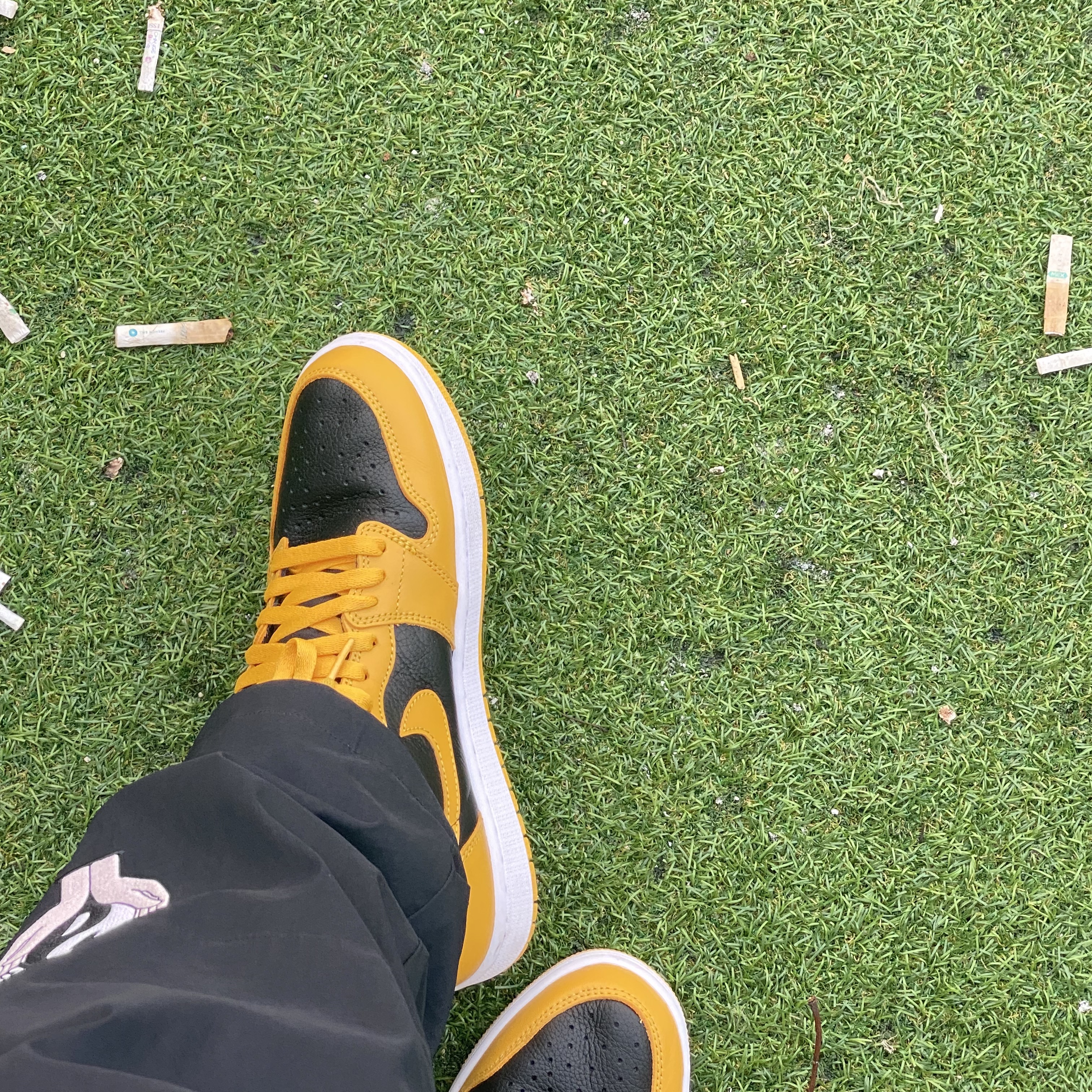 Jordan 1 Retro High OG Pollen, Palace x Adidas Palaste Zip Bottoms Black - 21FW 착용 스타일