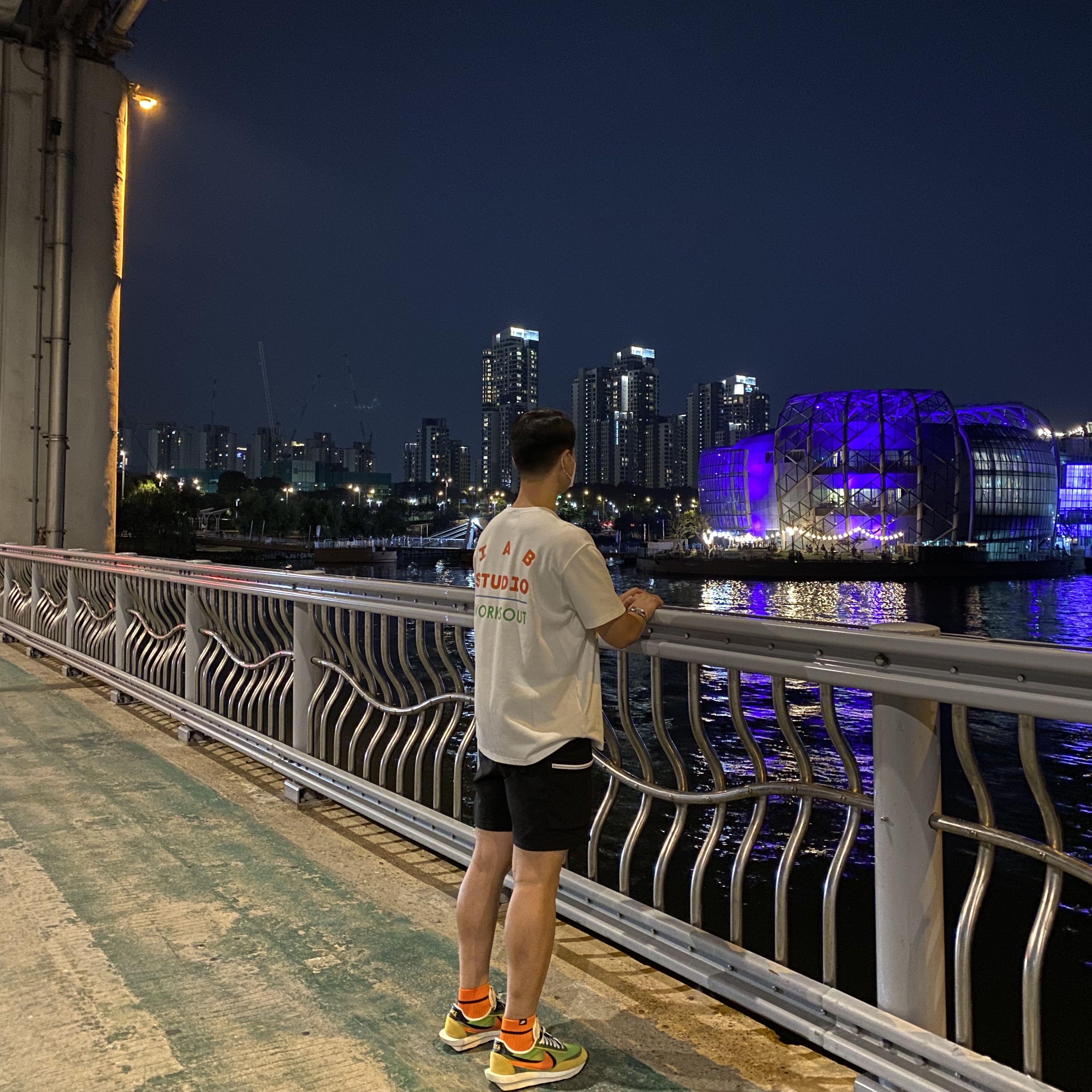 Nike x Sacai LDWaffle Green Multi, IAB Studio T-Shirt White for Worksout 착용 스타일