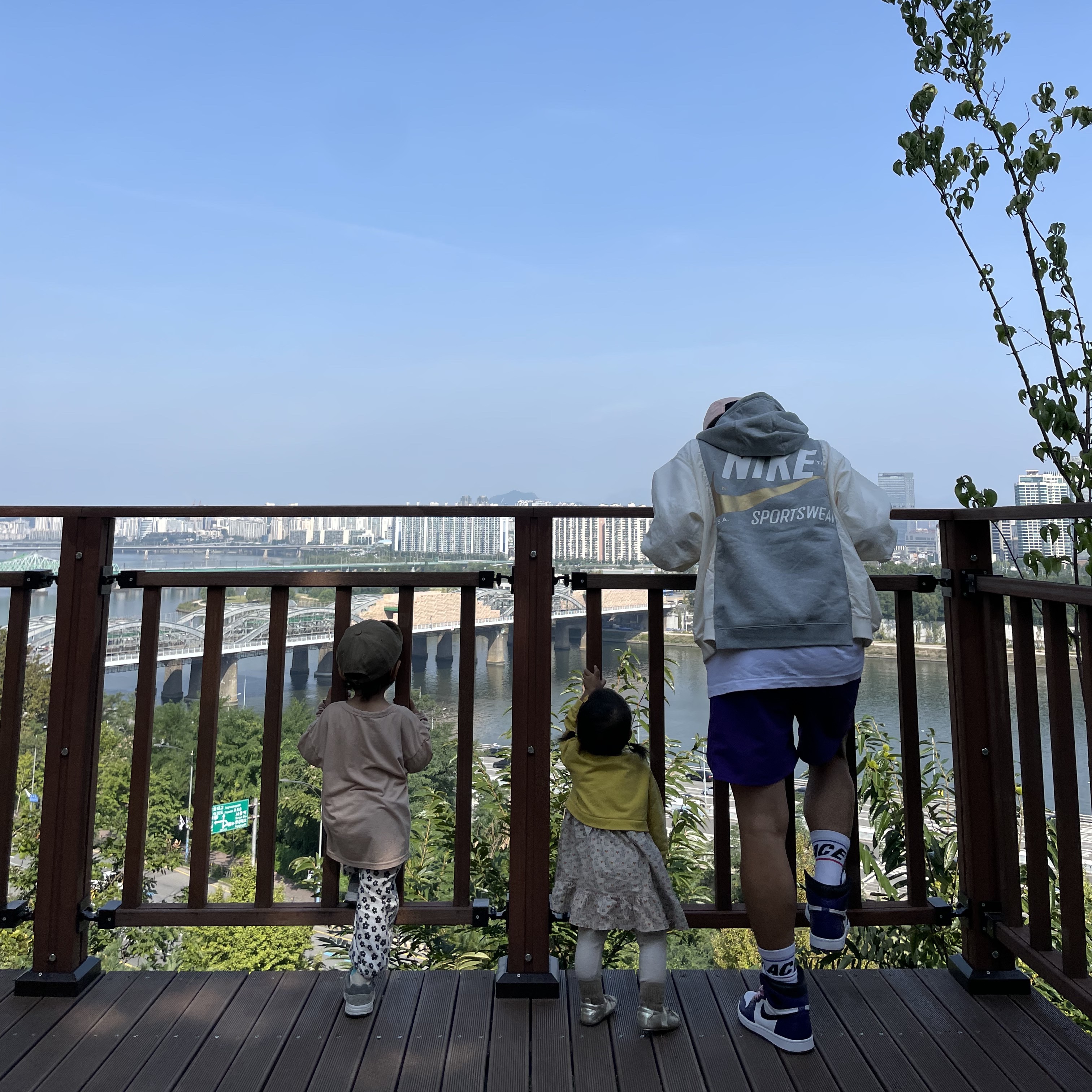 Jordan 1 Retro High OG Court Purple 2020, Nike NSW Hoodie BRS Dark Grey Heather 착용 스타일 - 4