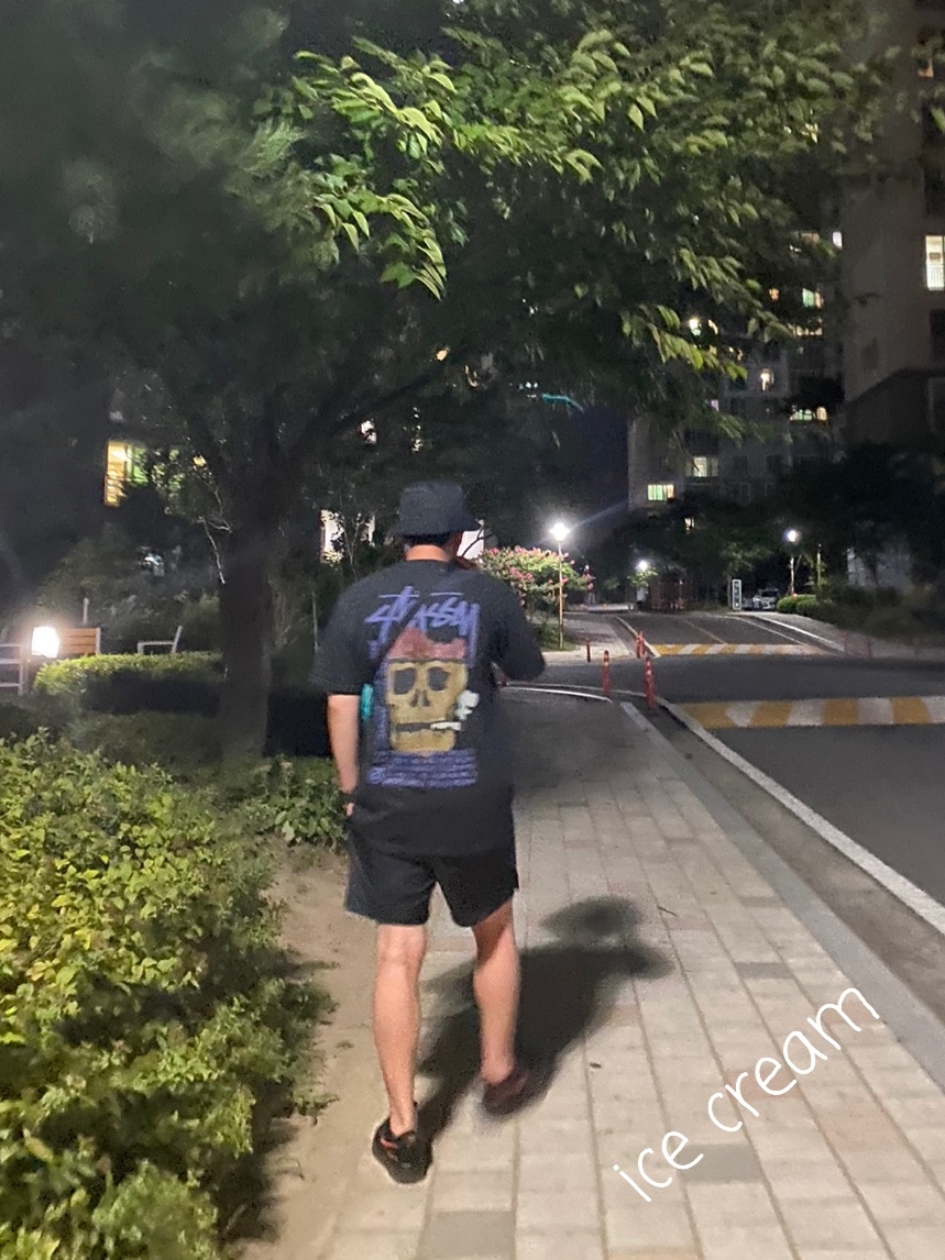 Stussy Desert Bloom T-Shirt Black, Nike Air Force 1 Low Gore-Tex Black Light Carbon 착용 스타일