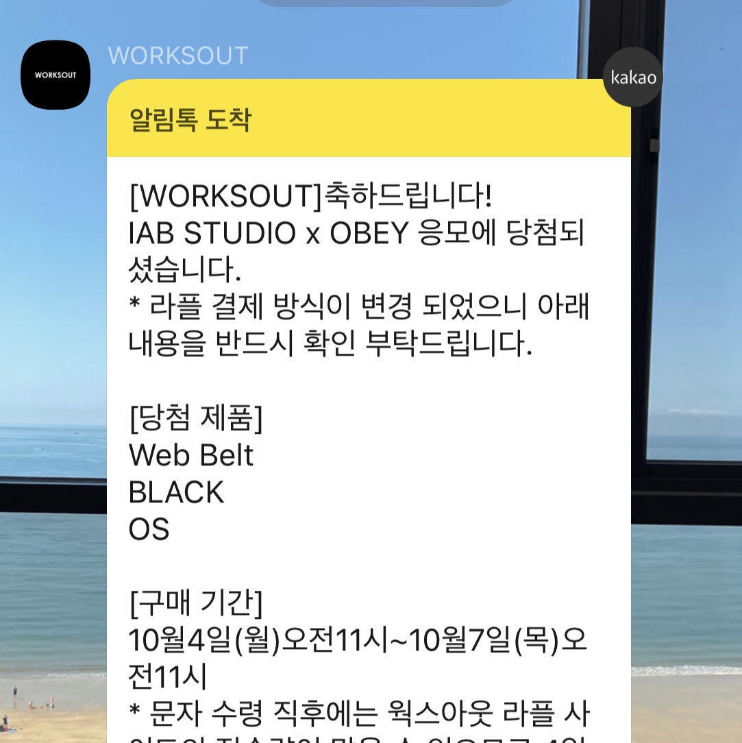 IAB Studio x Obey Web Belt Black 착용 스타일