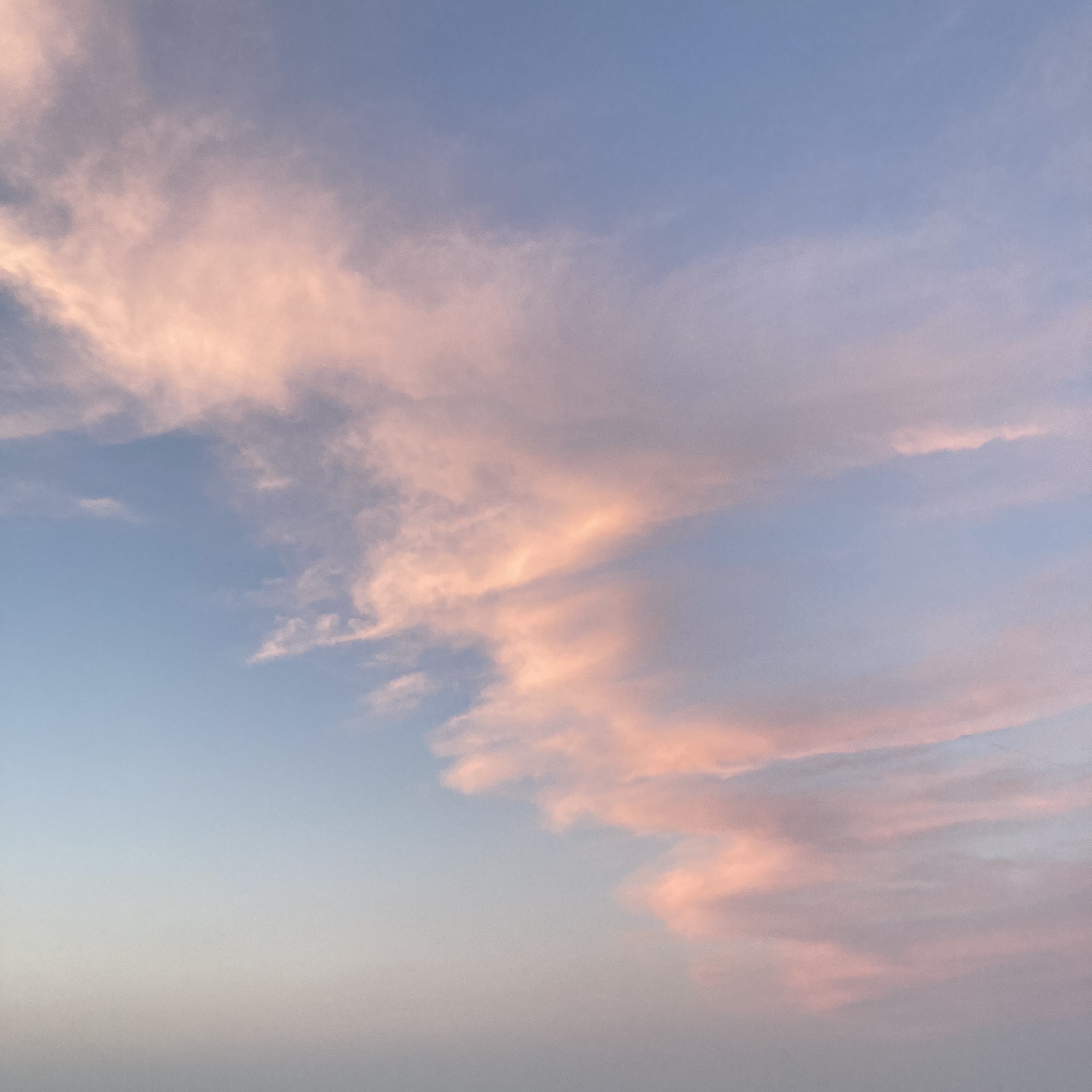 꾸쁘꾸쁘님의 스타일 - 5