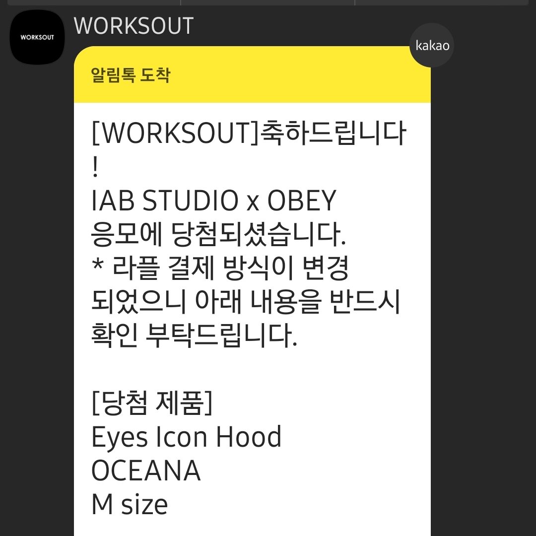 IAB Studio x Obey Eyes Icon Hoodie Oceana 착용 스타일