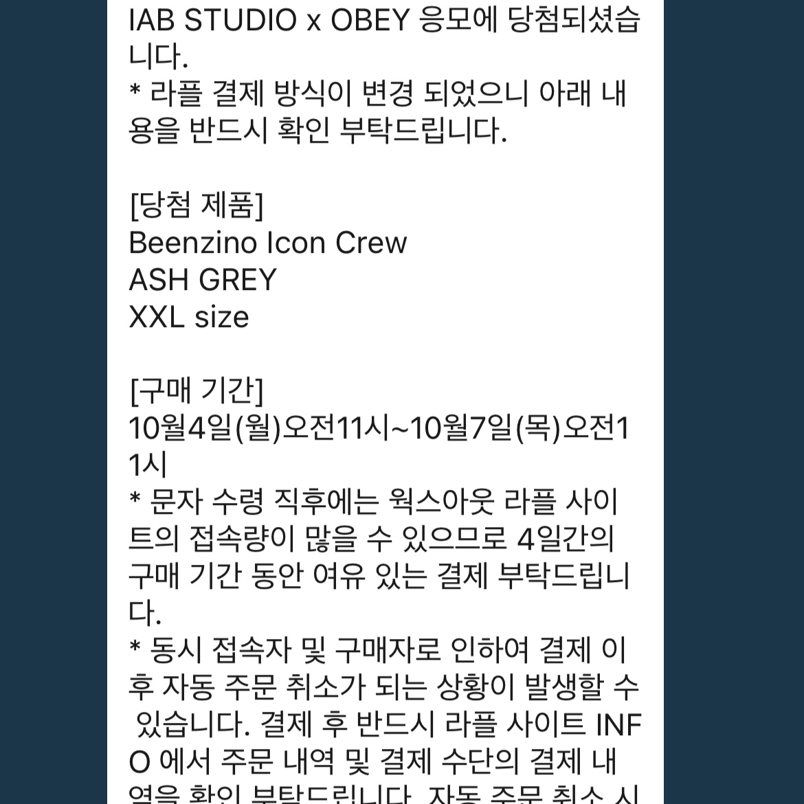 IAB Studio x Obey Beenzino Icon Crew Ash Gray 착용 스타일