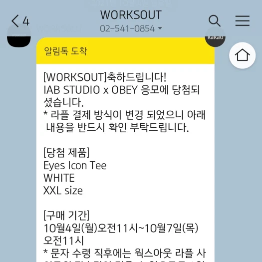 스타일 카드