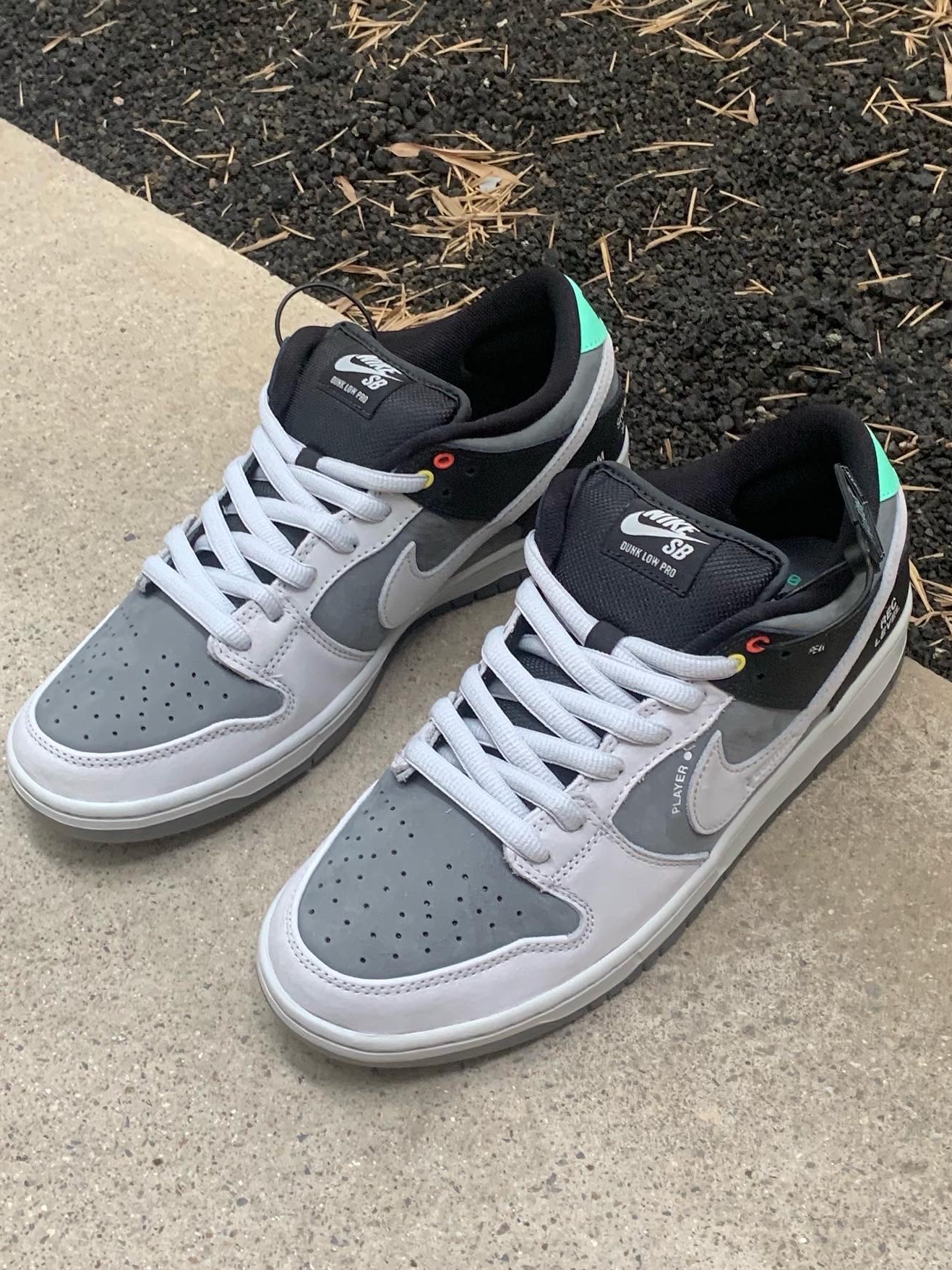 Nike SB Dunk Low Pro Camcorder 착용 스타일 - 1